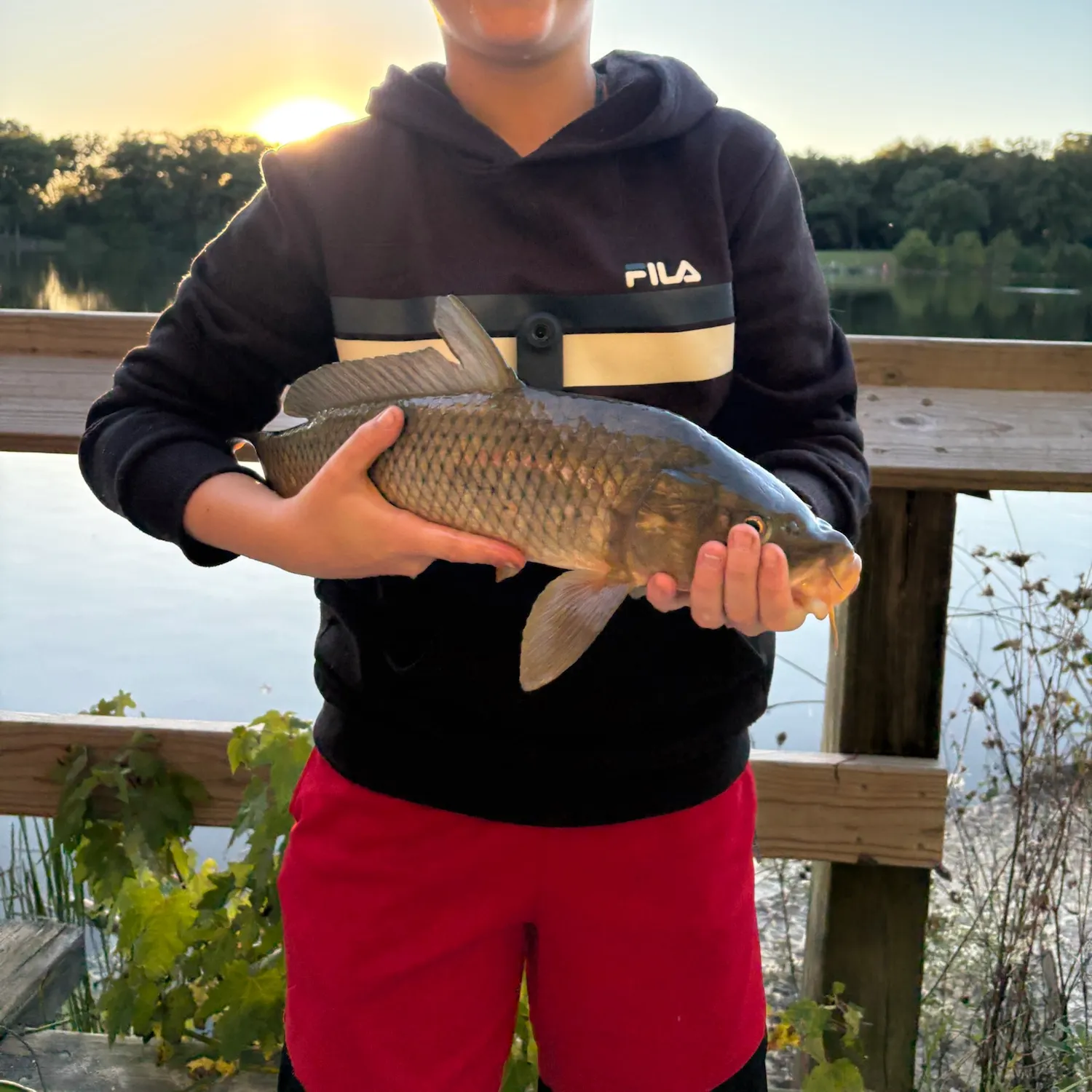 Fish caught on Fishbrain