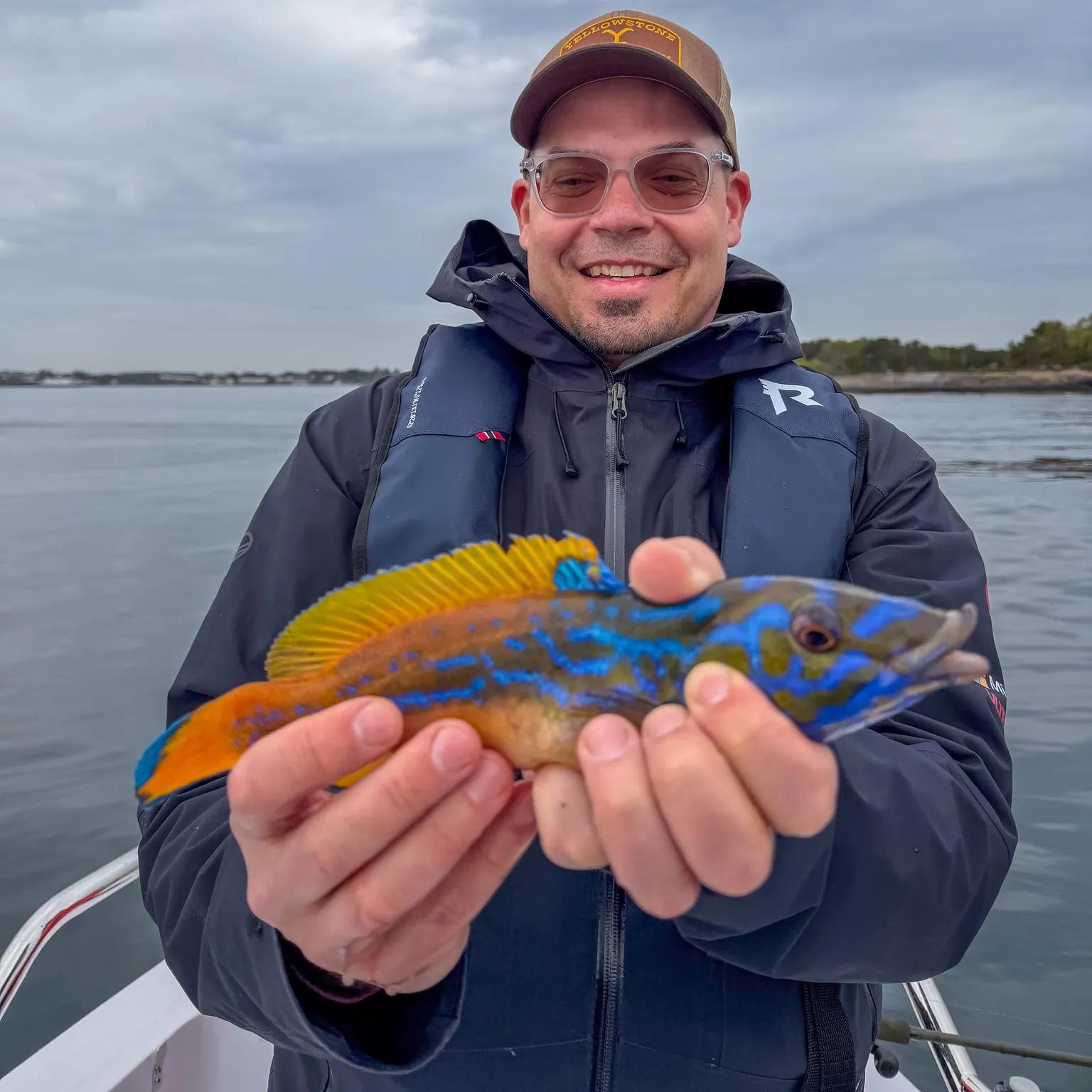The most recent Cuckoo wrasse catches on Fishbrain