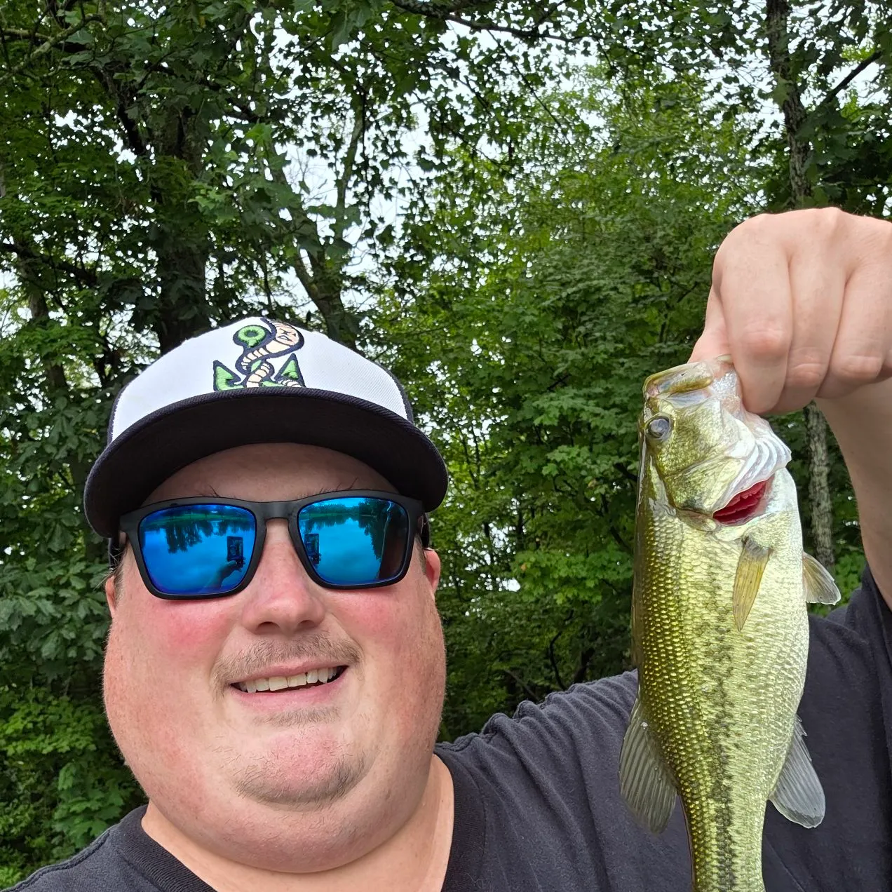 Largemouth bass caught on Fishbrain