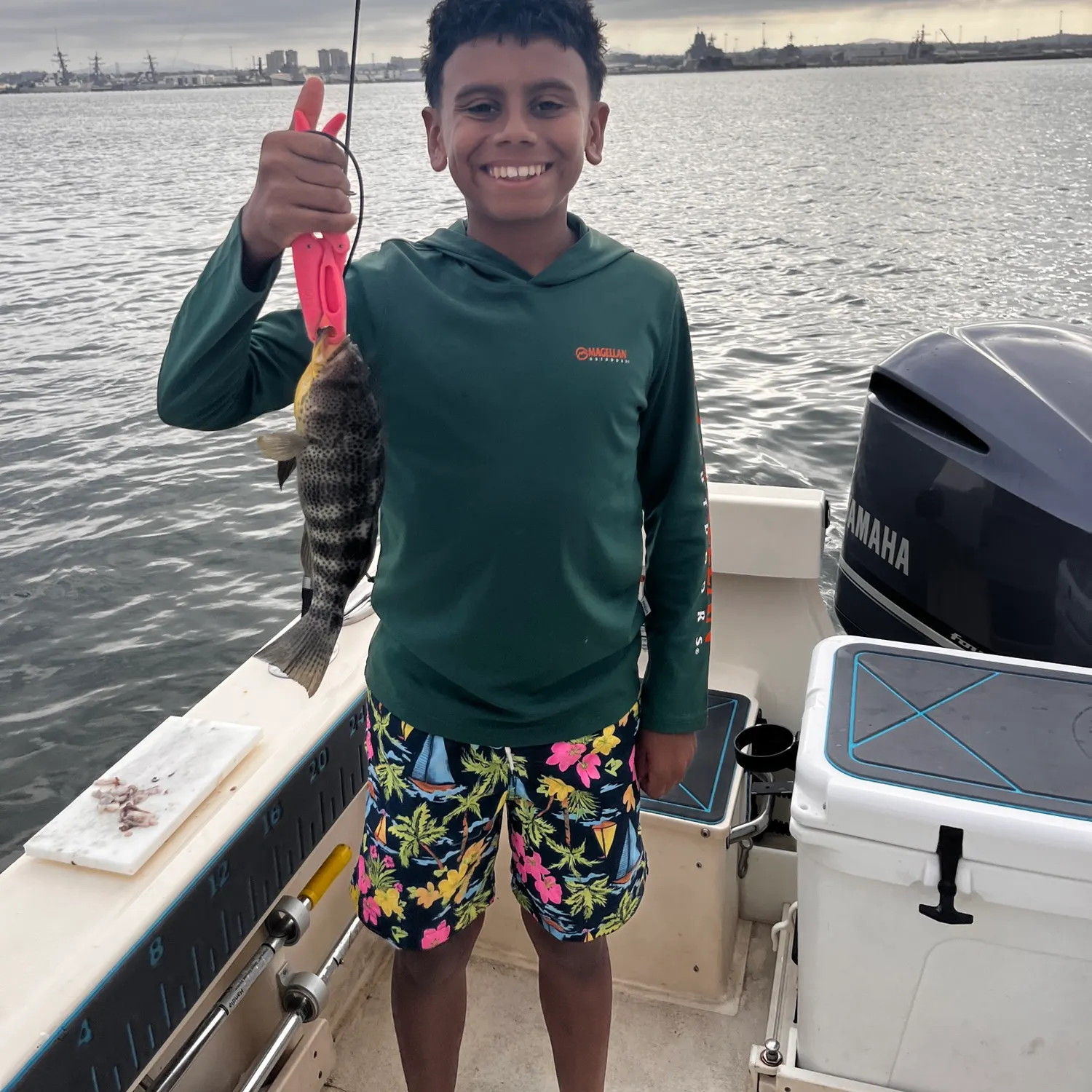 The most recent Spotted seabass catches on Fishbrain