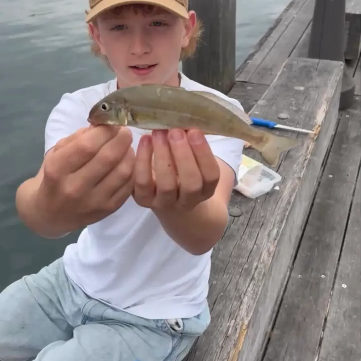 Sand sillago caught on Fishbrain