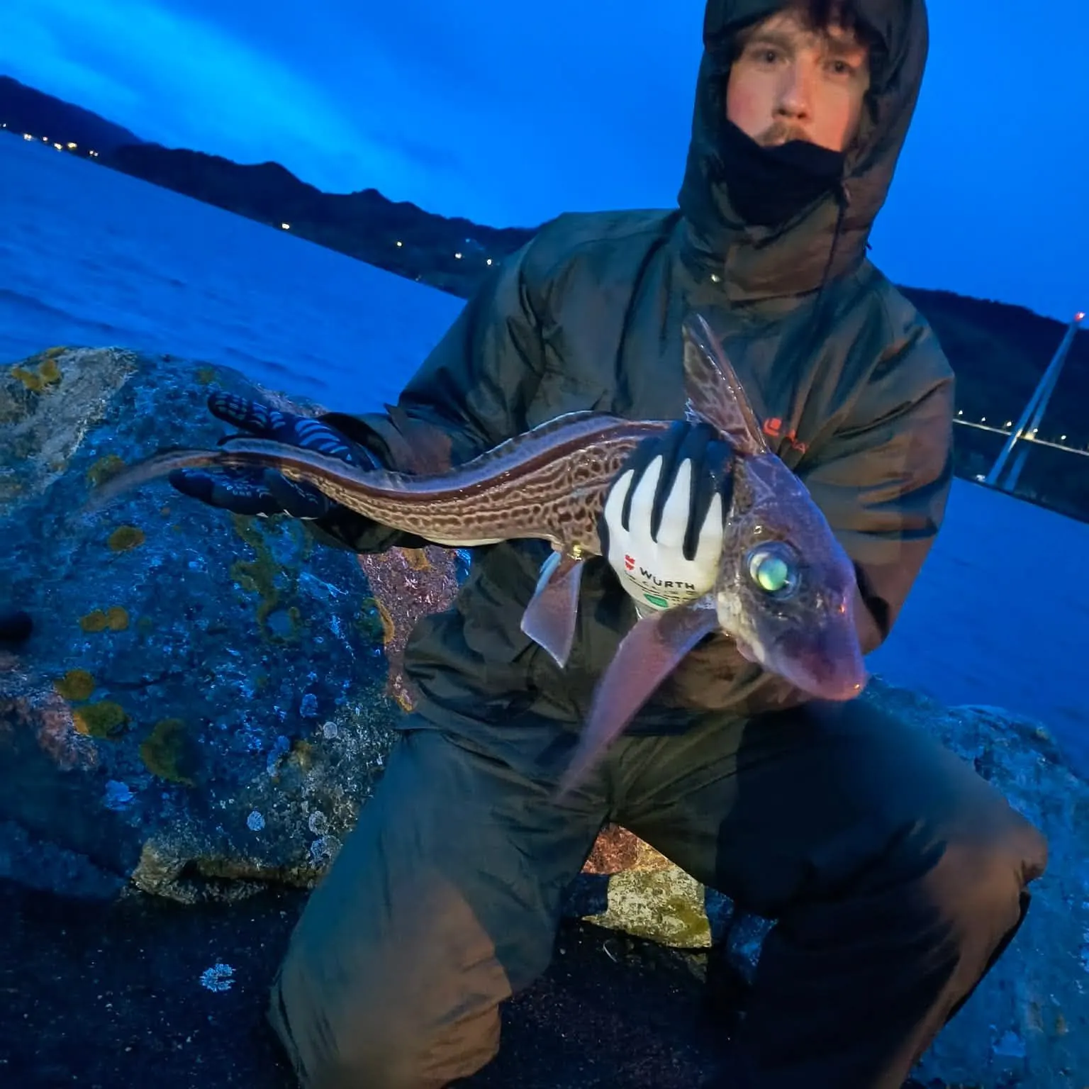 The most recent Rabbit fish catches on Fishbrain