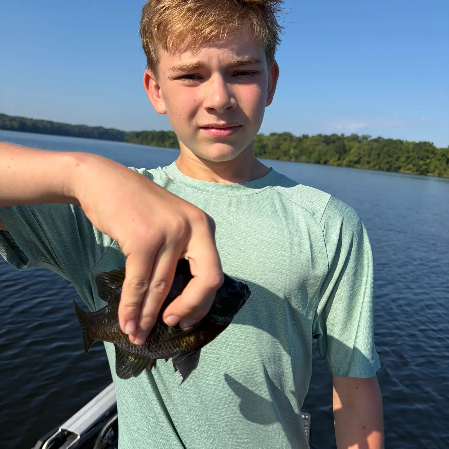 Bluegill caught on Fishbrain