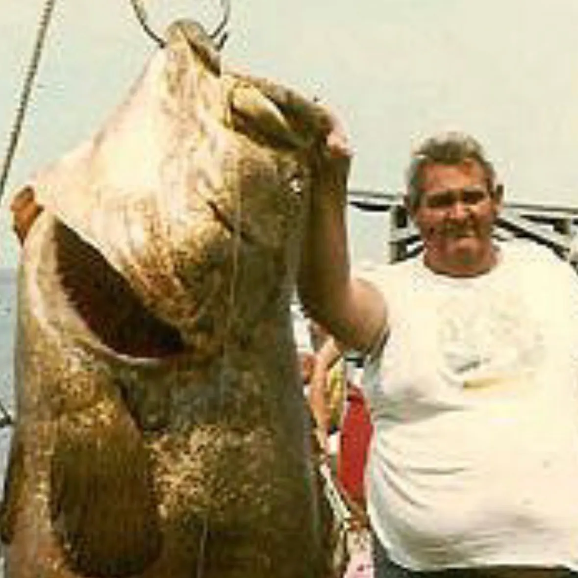 Pacific goliath grouper caught on Fishbrain