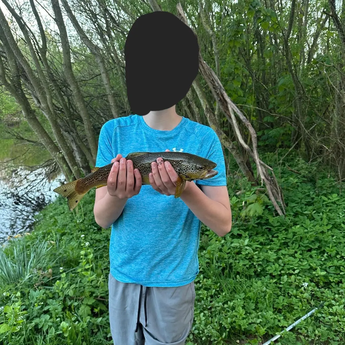 Brown trout caught on Fishbrain
