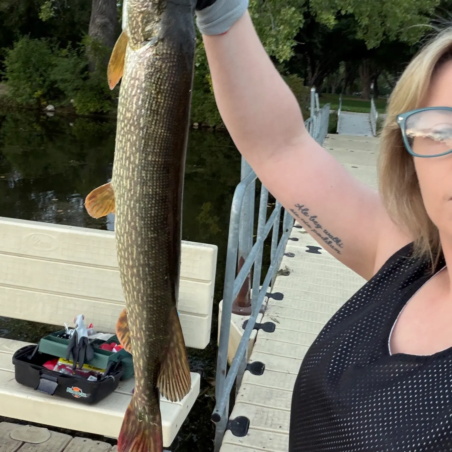 Northern pike caught on Fishbrain