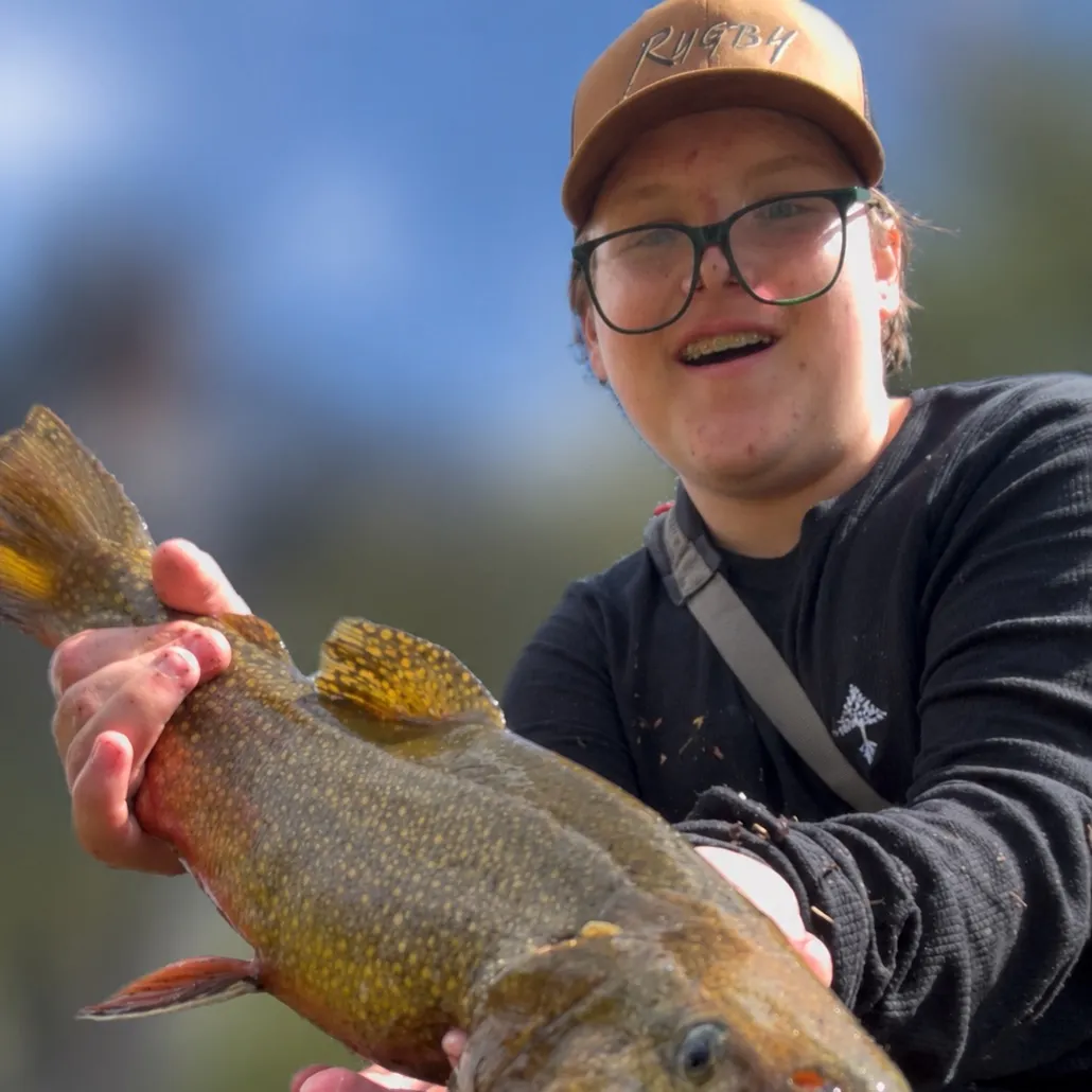 Brook trout caught on Fishbrain