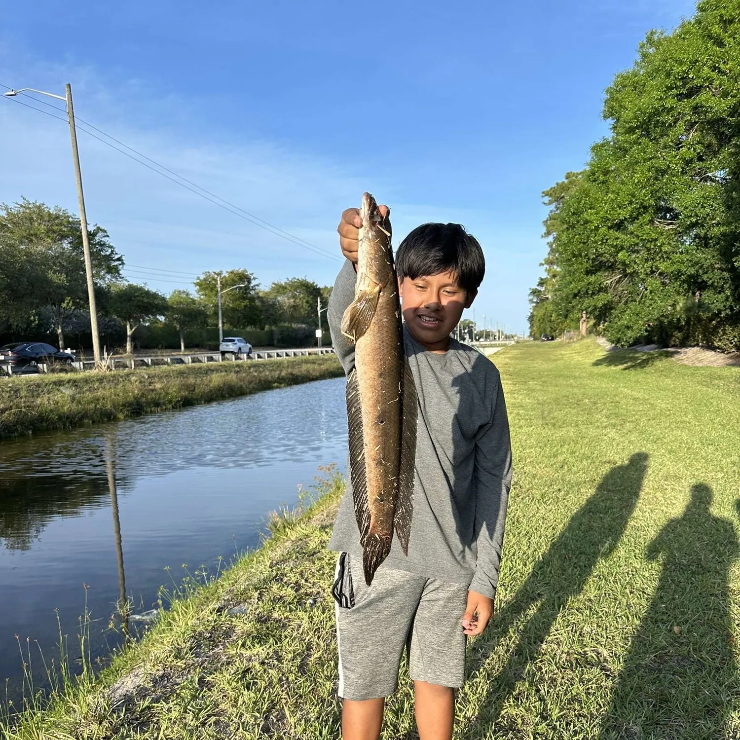 most liked catch image