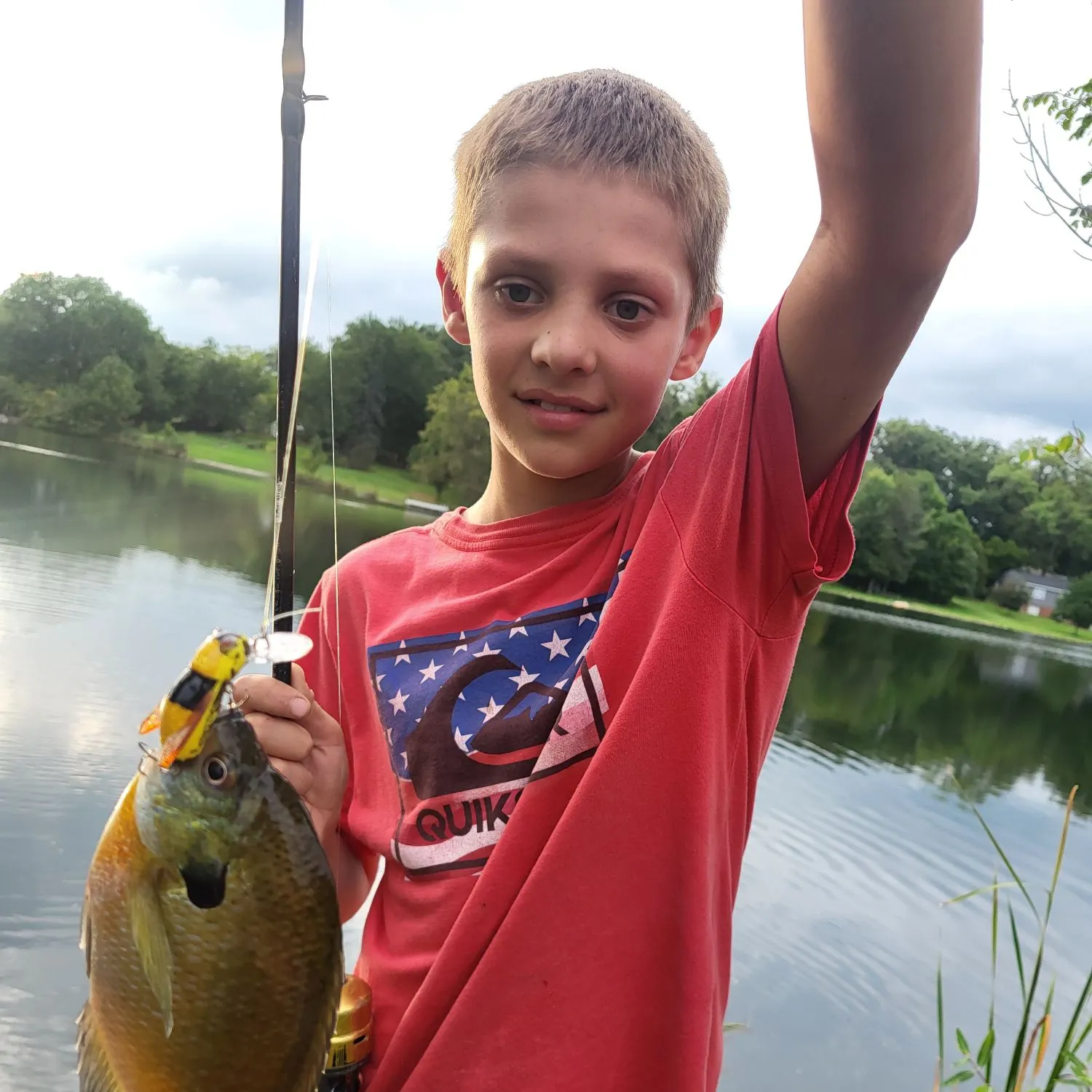 Bluegill caught on Fishbrain