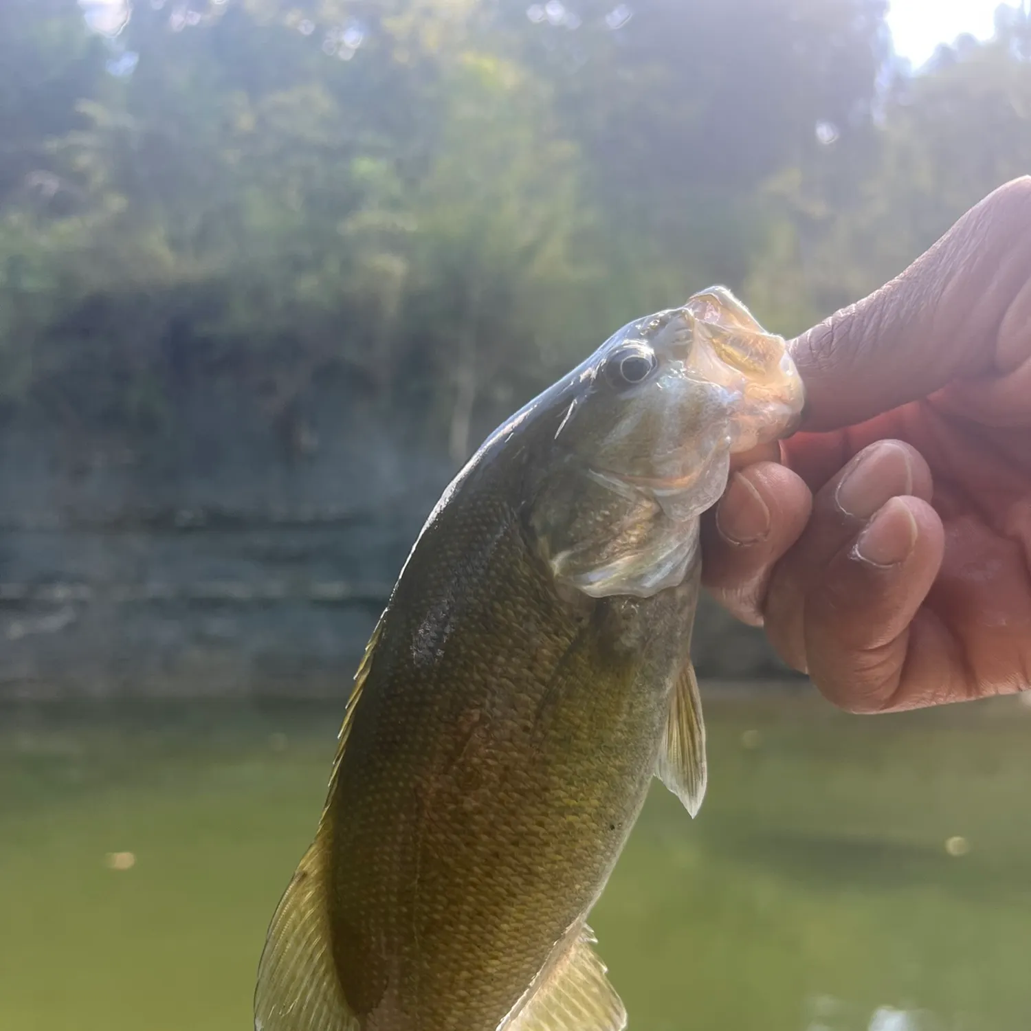 Fish caught on Fishbrain