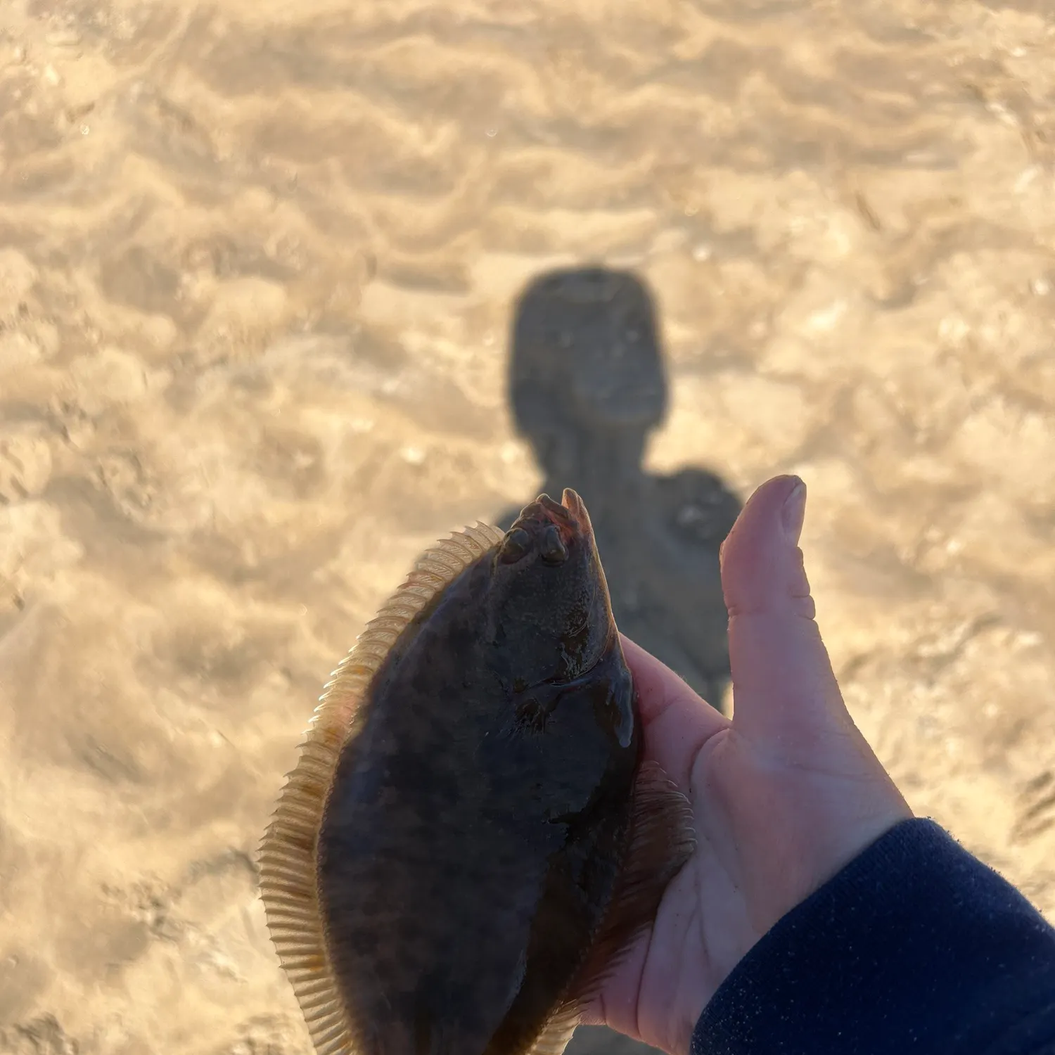 most liked catch image