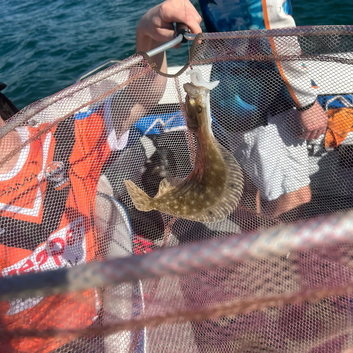 The most popular recent Black flounder catch on Fishbrain