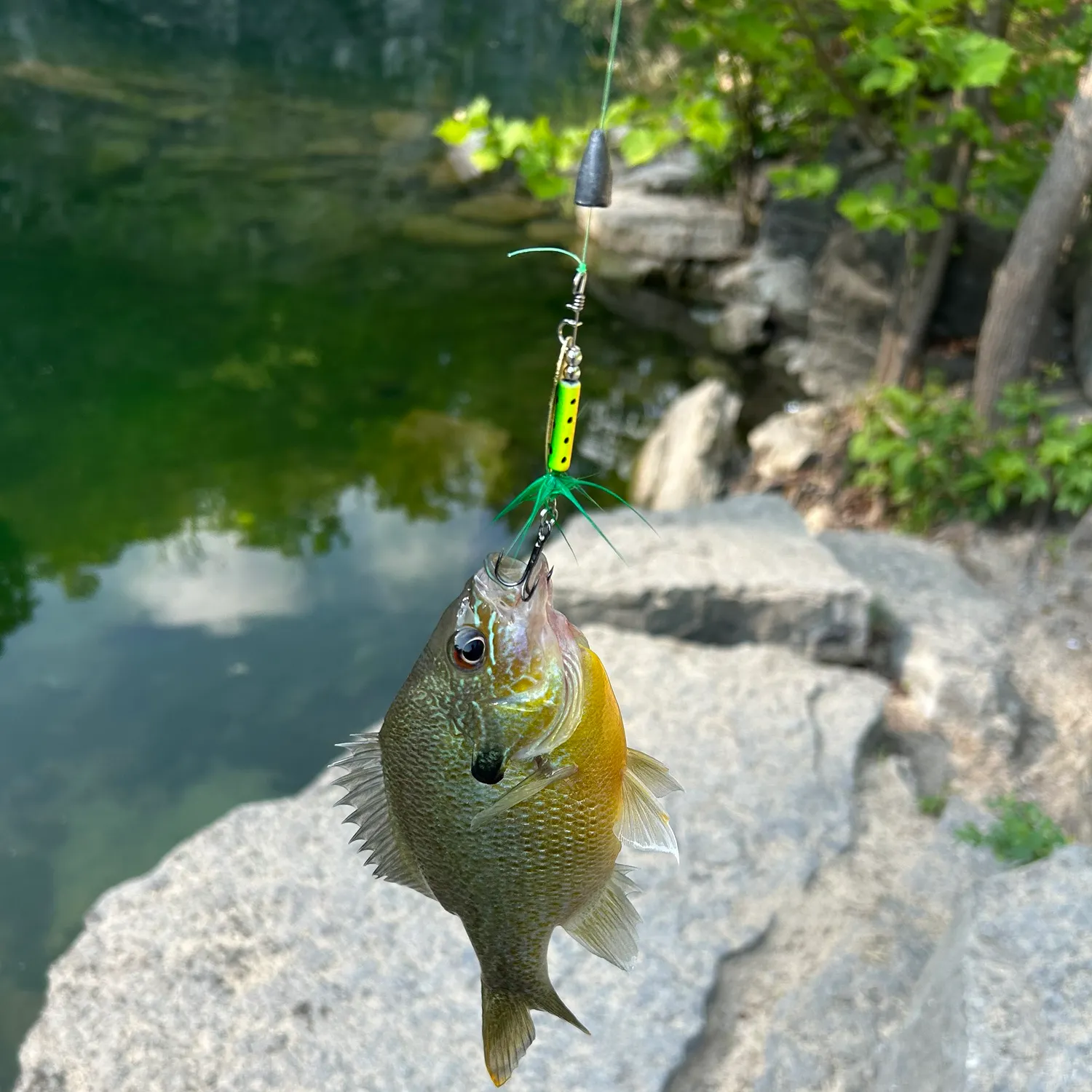 catch