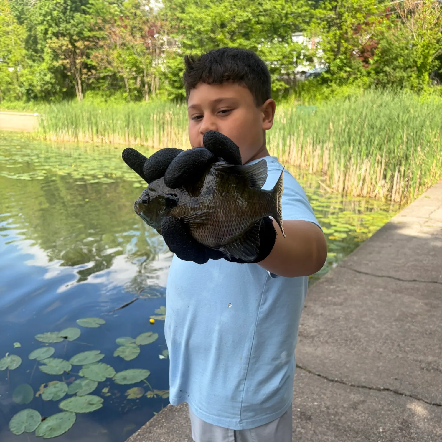 catch