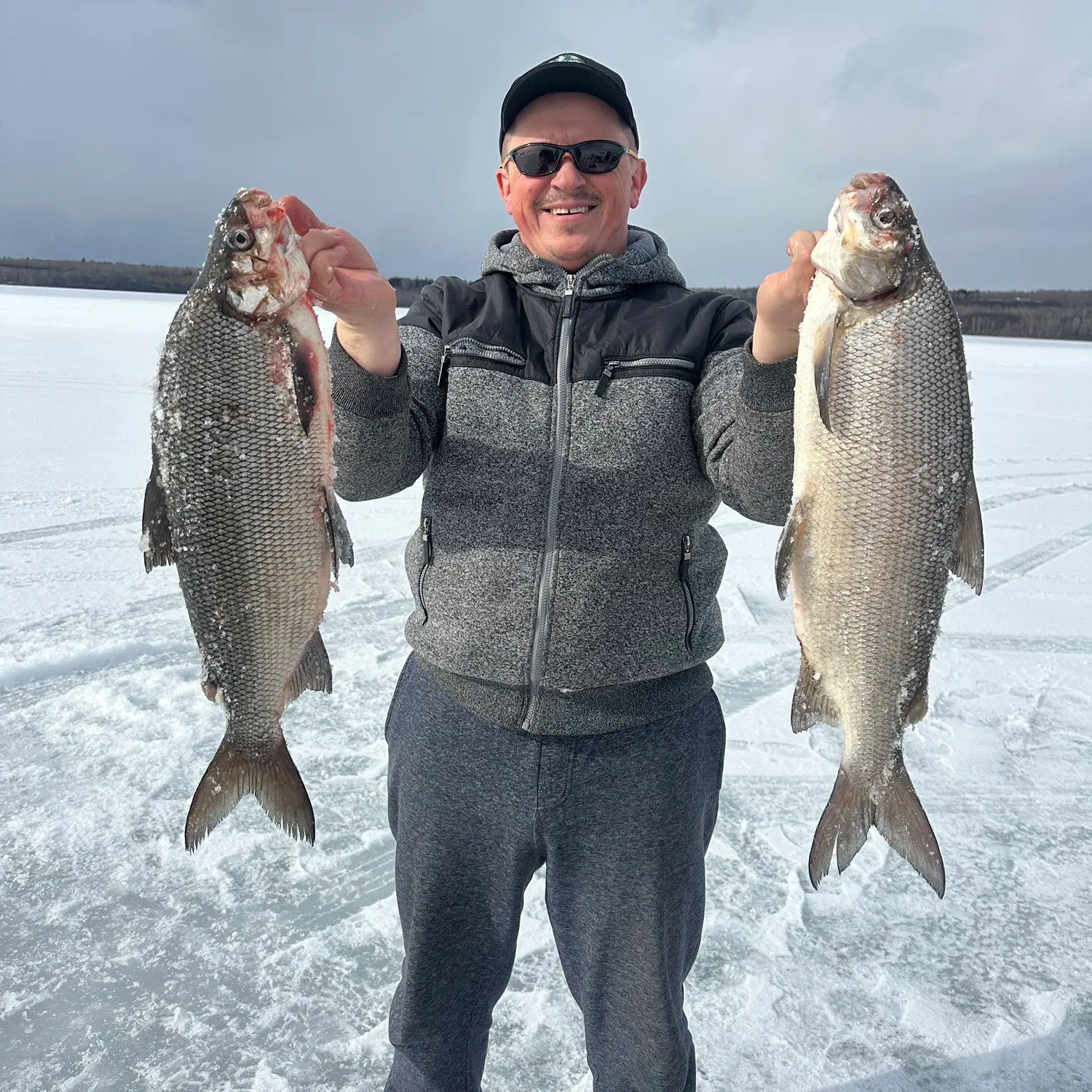 The most recent Lake whitefish catches on Fishbrain