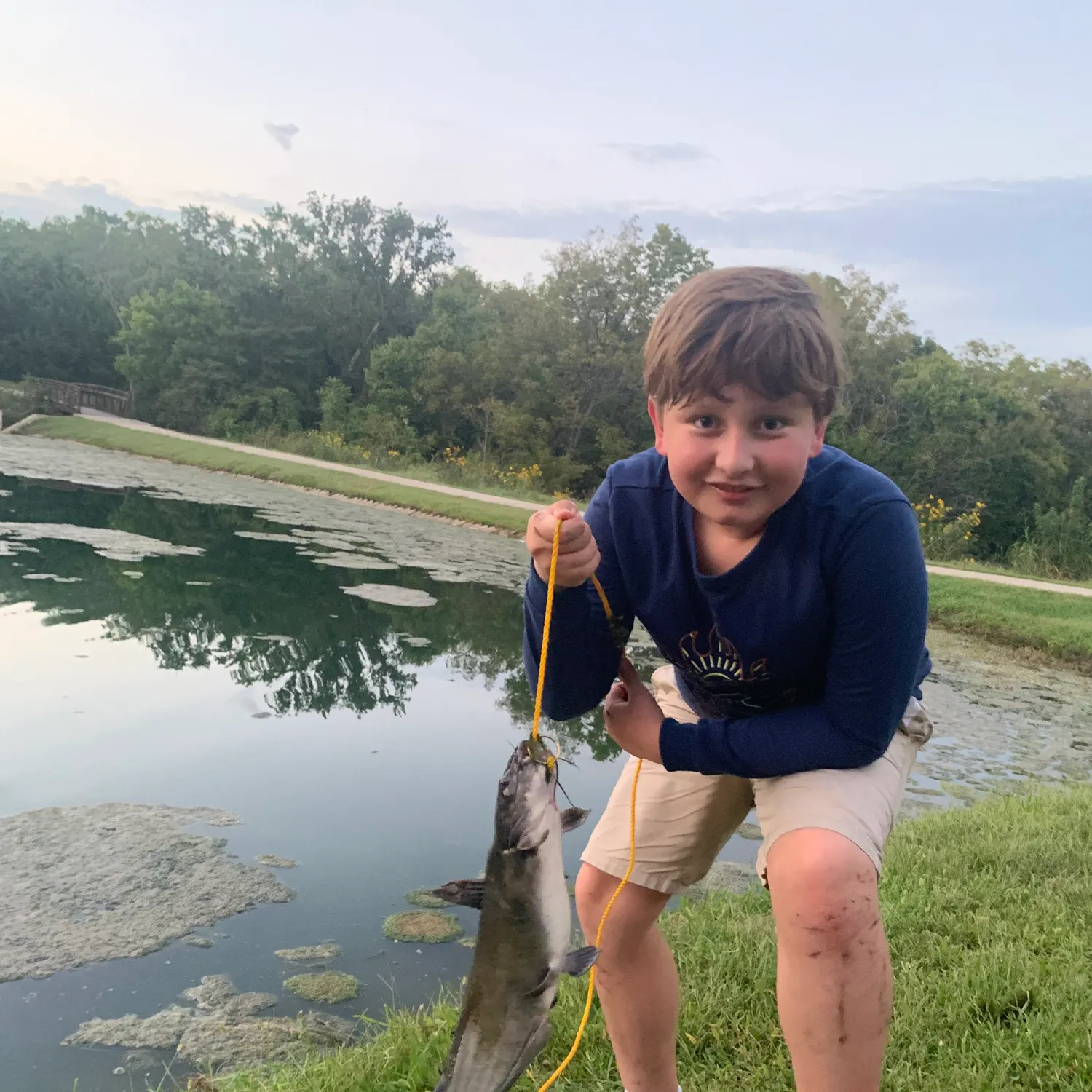 Channel catfish caught on Fishbrain