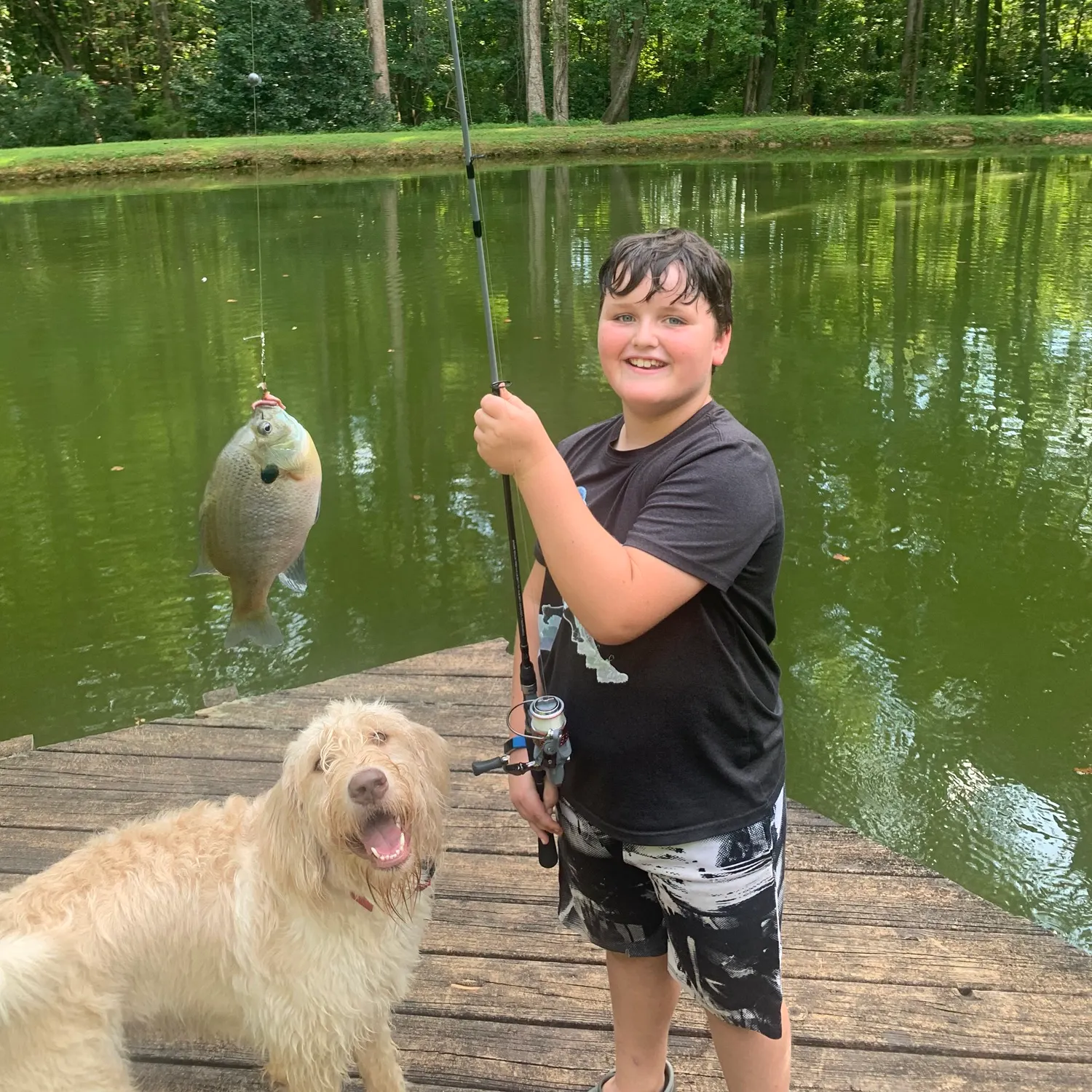 The most recent Bluegill catches on Fishbrain
