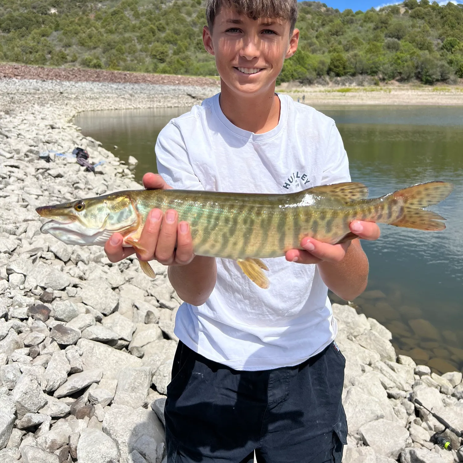 The most recent Tiger muskellunge catches on Fishbrain
