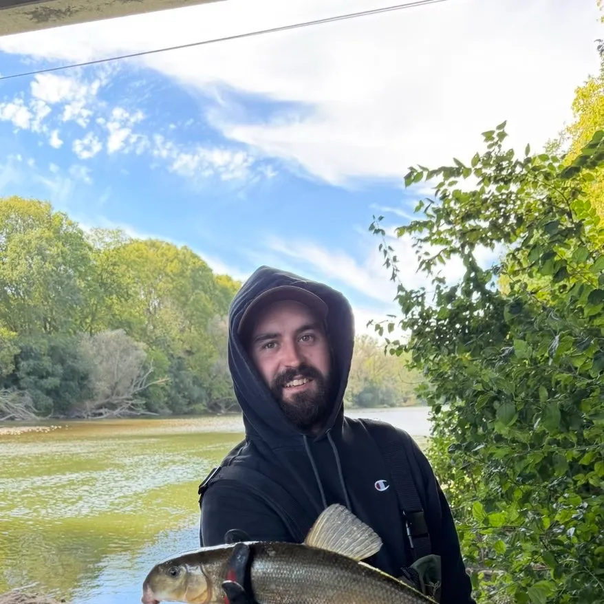 The most recent White sucker catches on Fishbrain