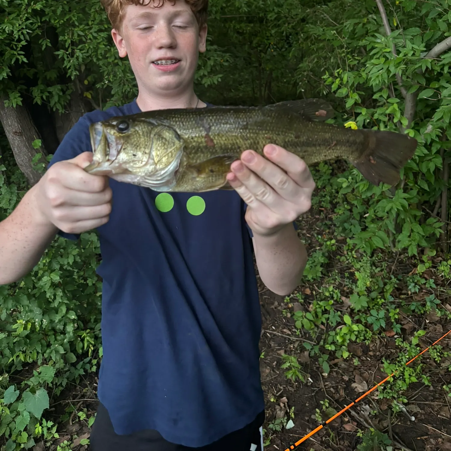 Largemouth bass caught on Fishbrain
