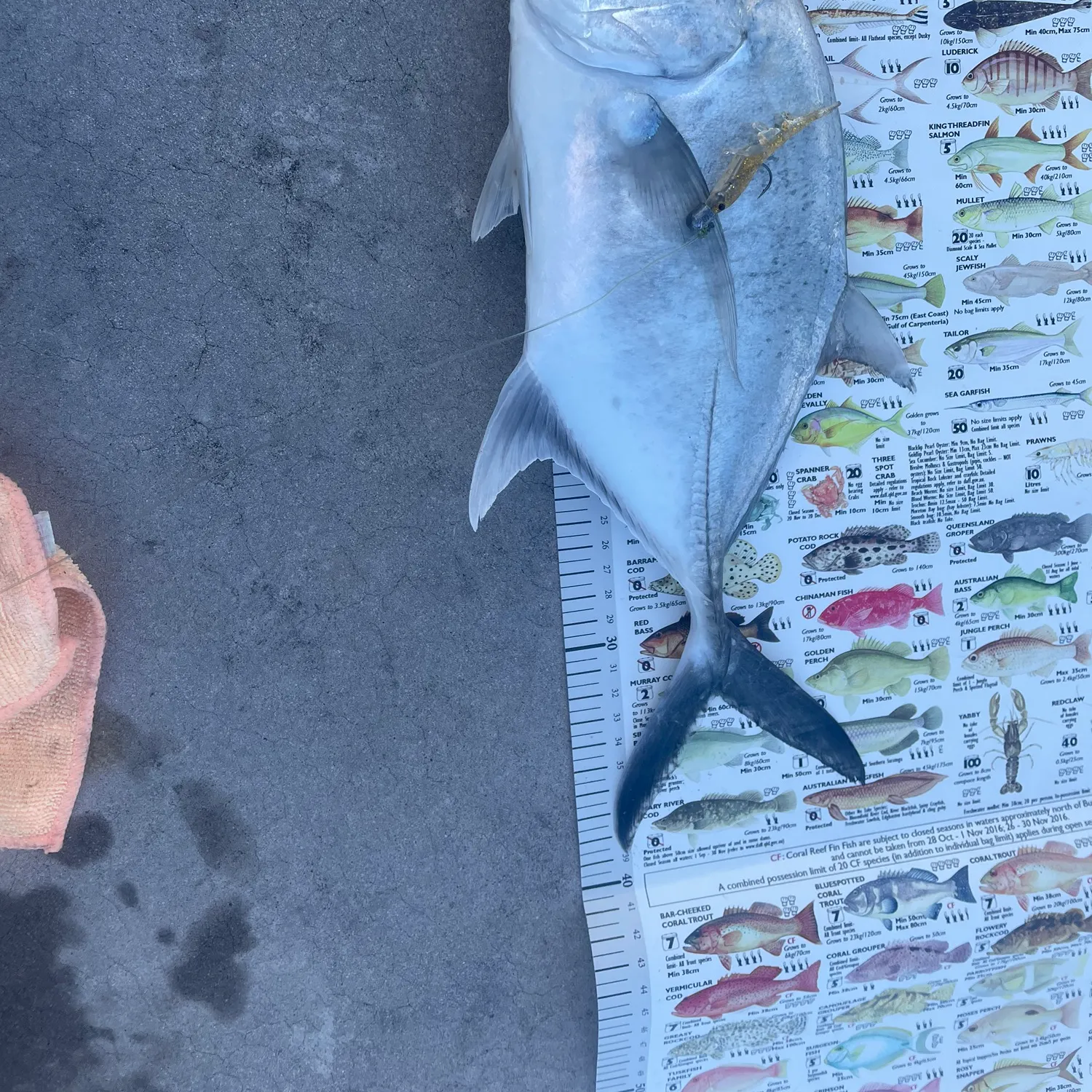 Giant trevally caught on Fishbrain