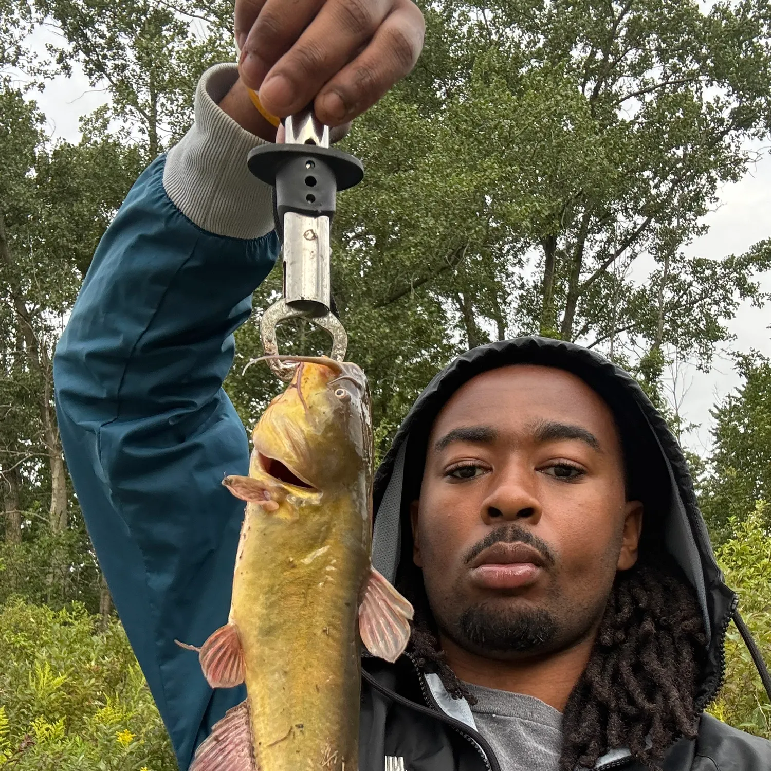 Yellow bullhead caught on Fishbrain