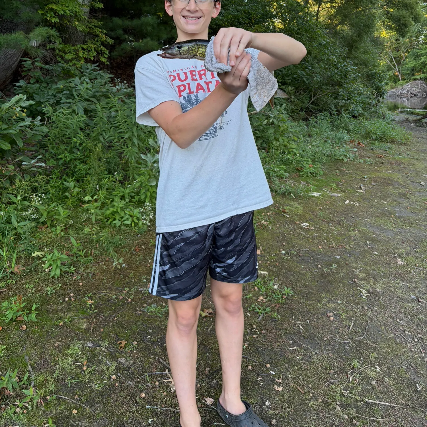 Chain pickerel caught on Fishbrain