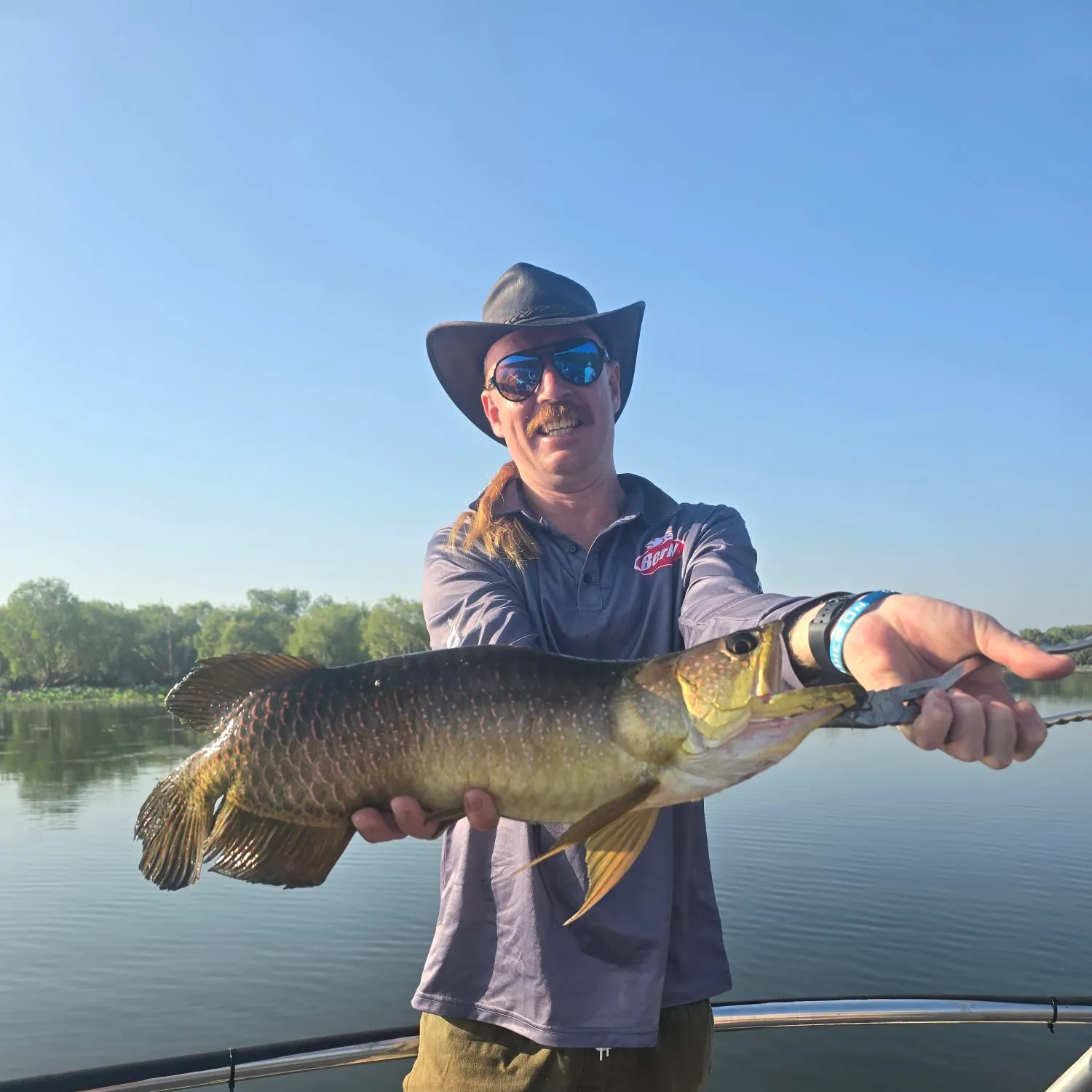 most liked catch image