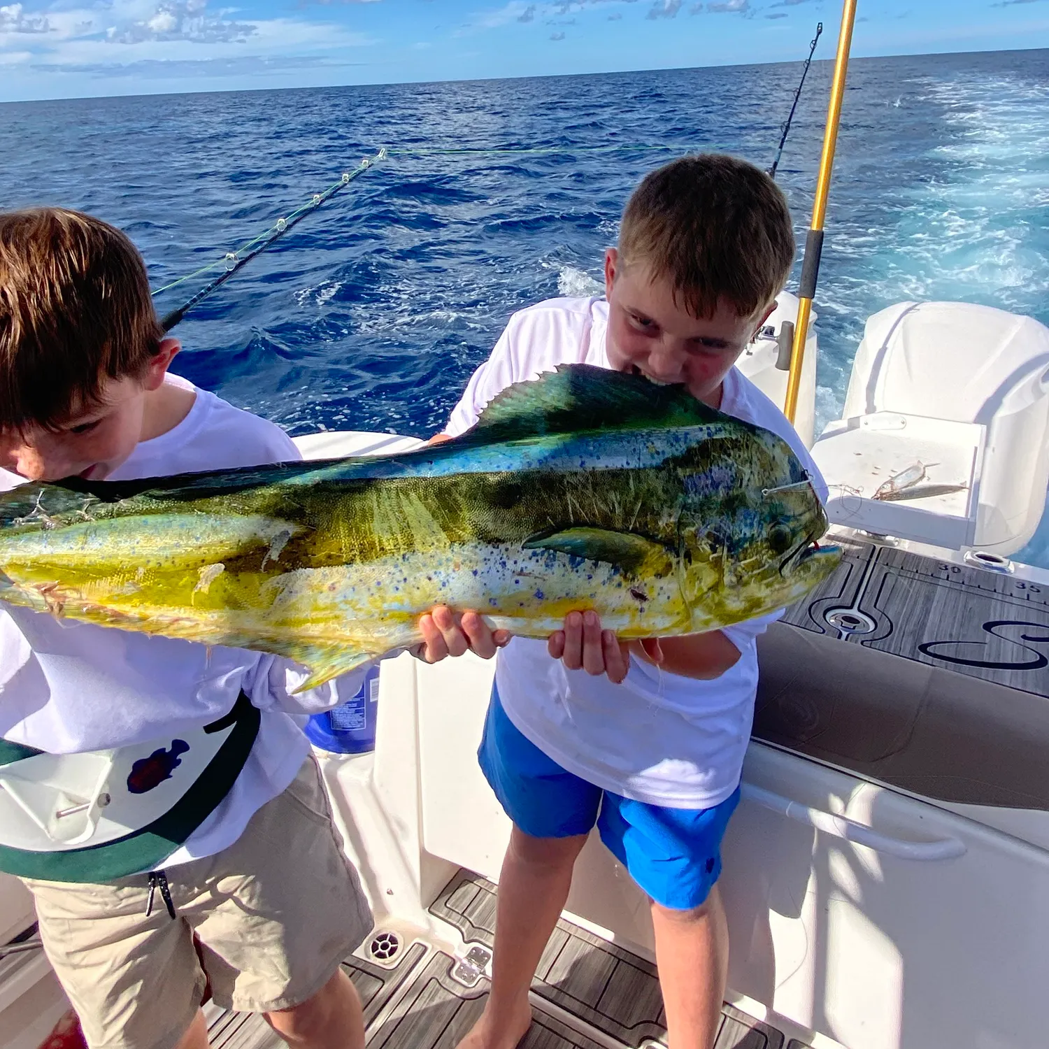 The most recent Common dolphinfish catches on Fishbrain