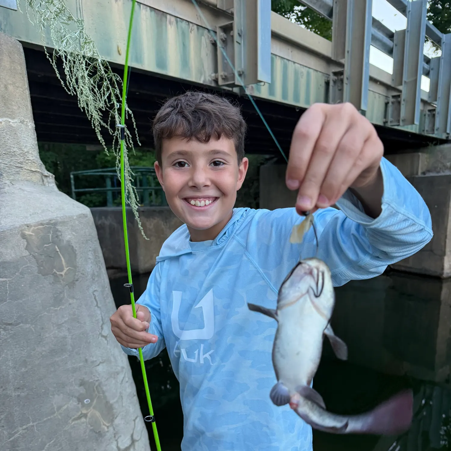 Black bullhead caught on Fishbrain