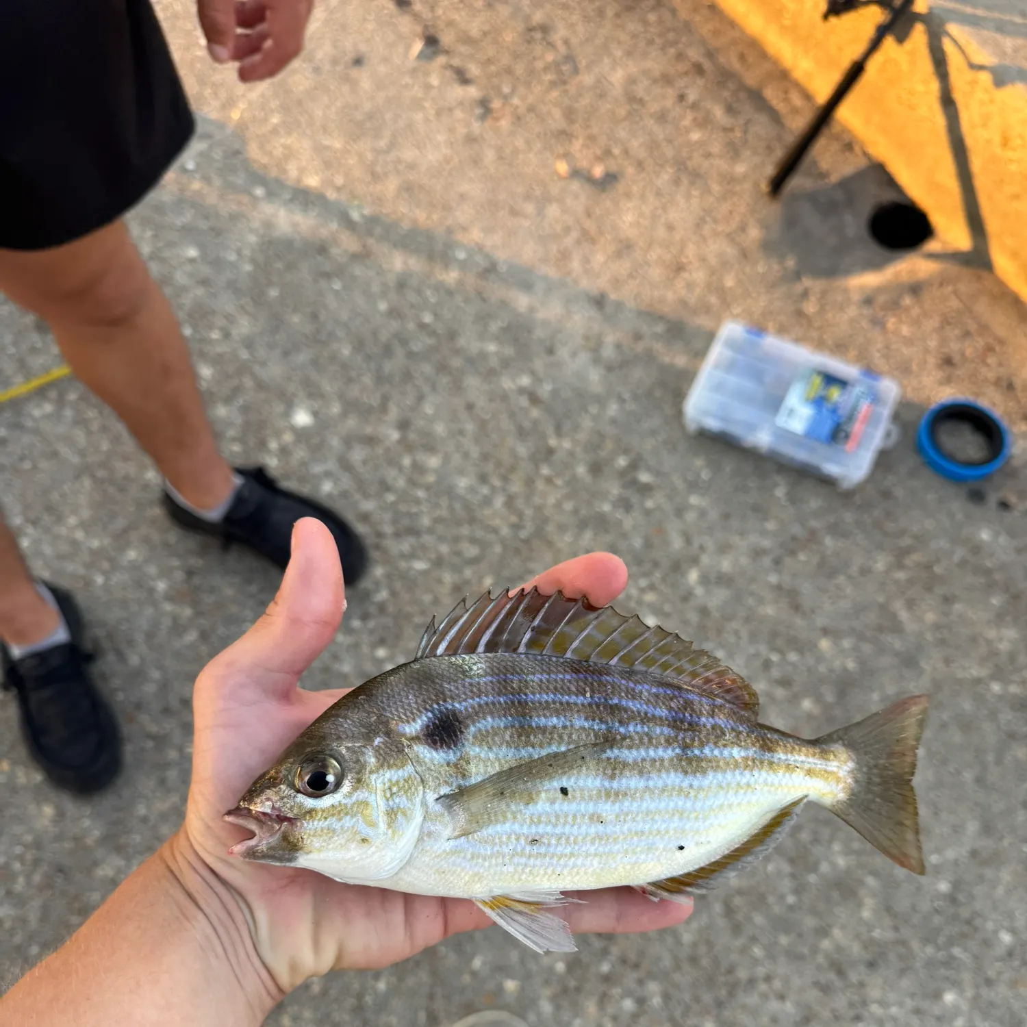 catch