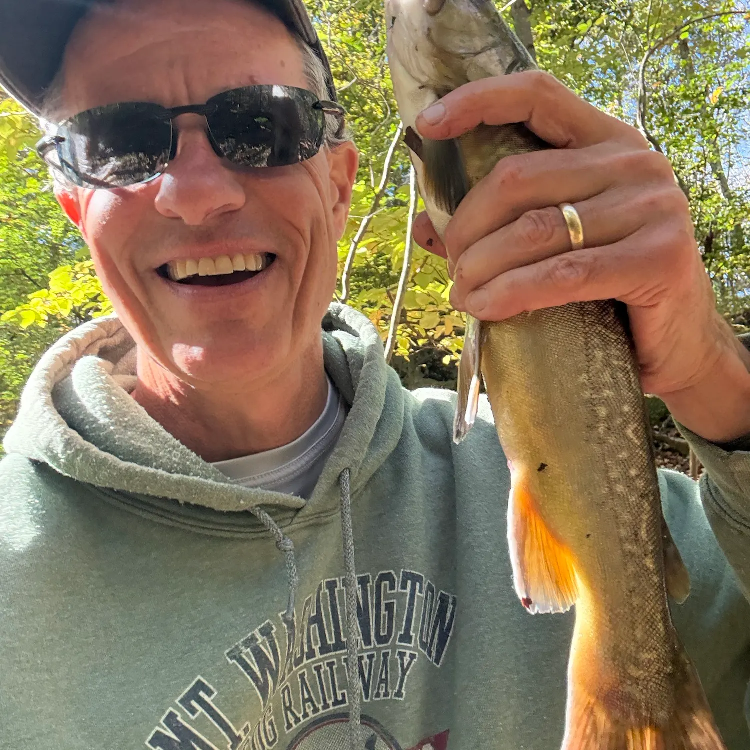 Brown trout caught on Fishbrain