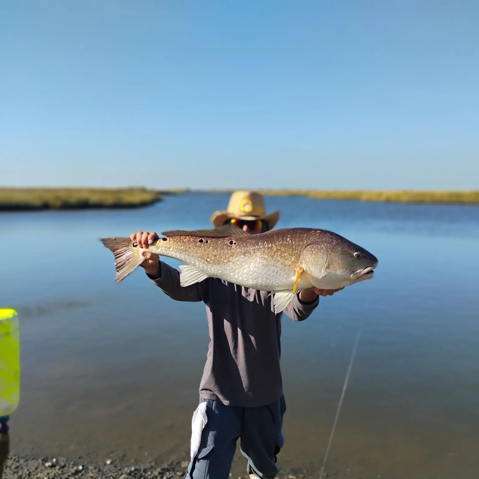 Red drum caught on Fishbrain