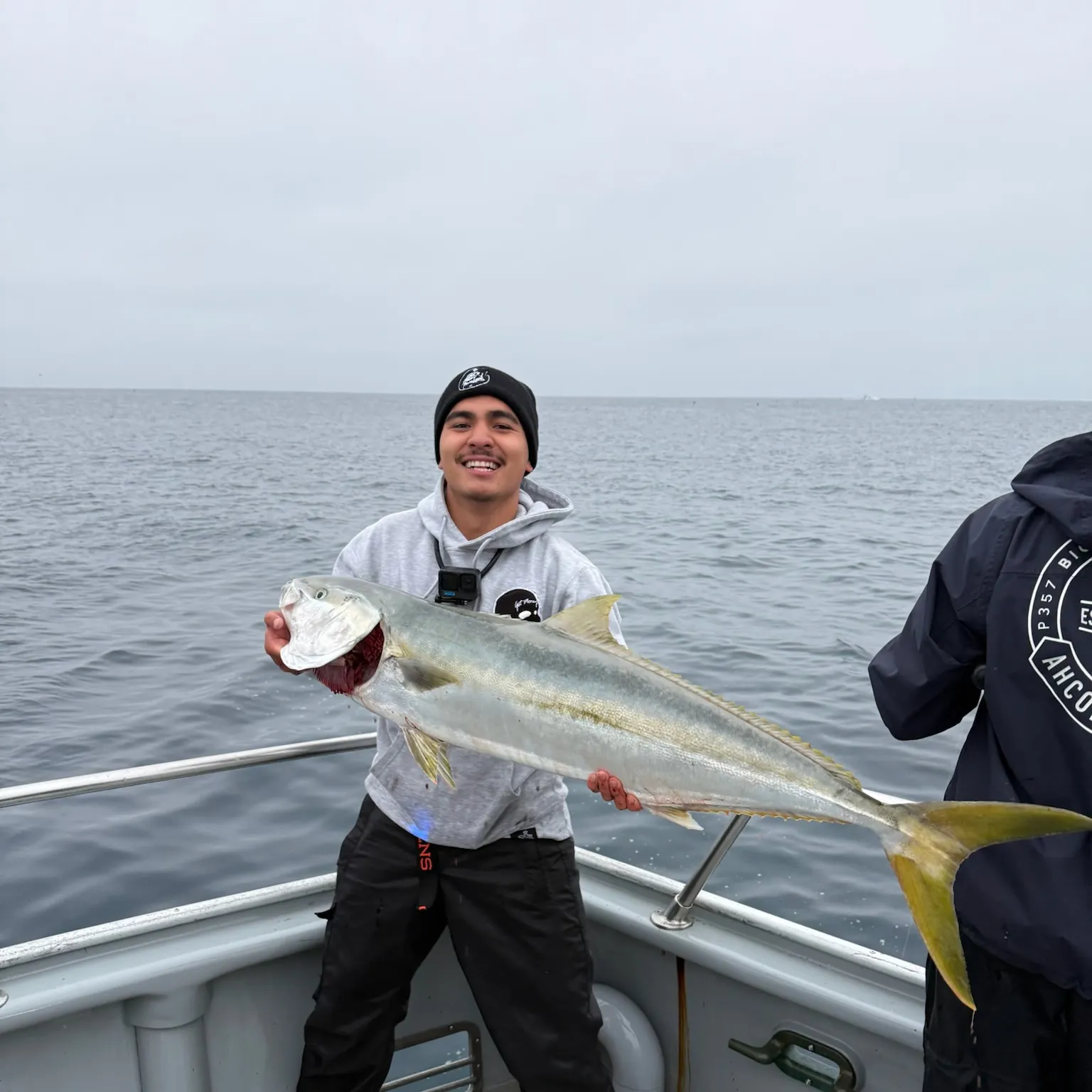 The most recent California yellowtail amberjack catches on Fishbrain