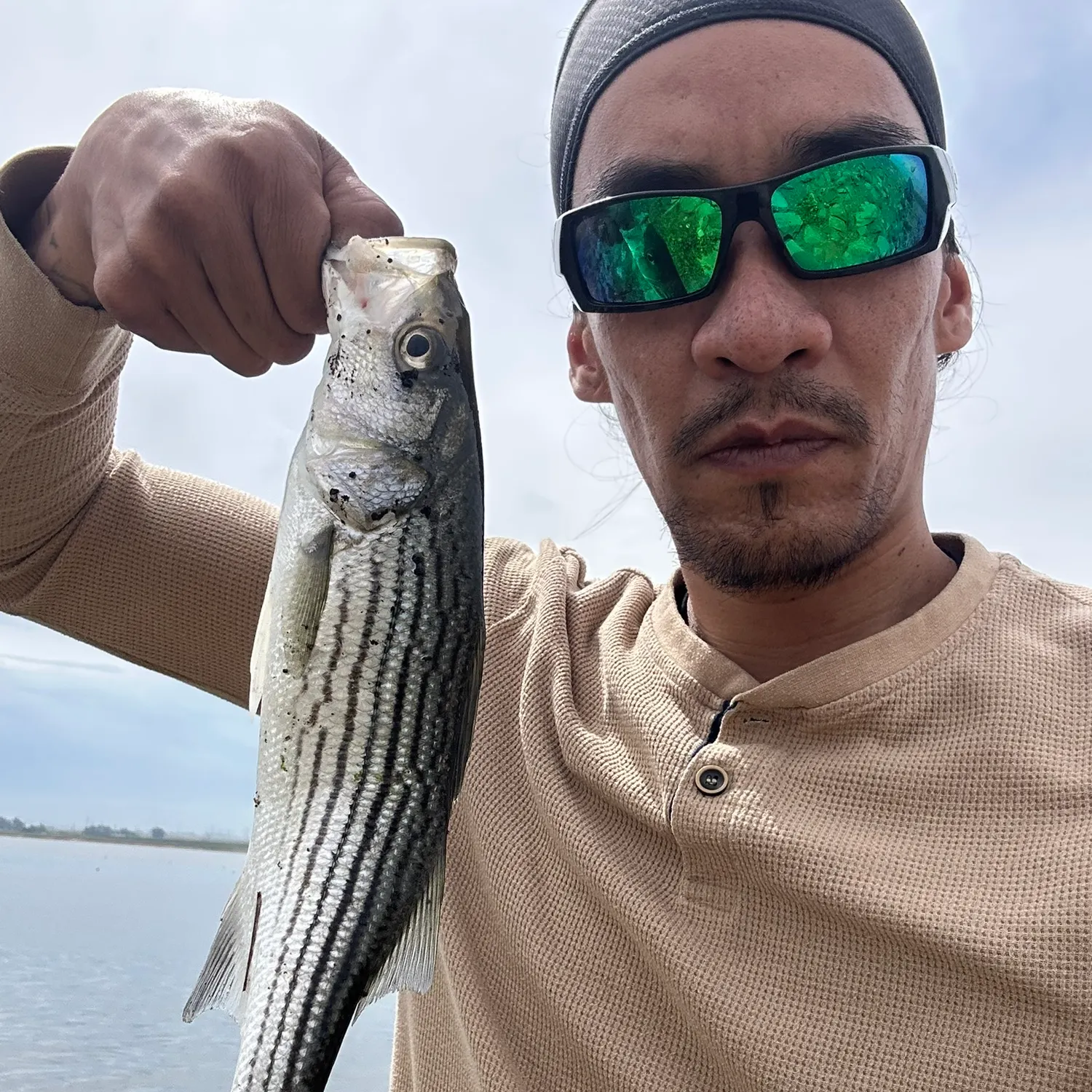 The most recent Striped bass catches on Fishbrain
