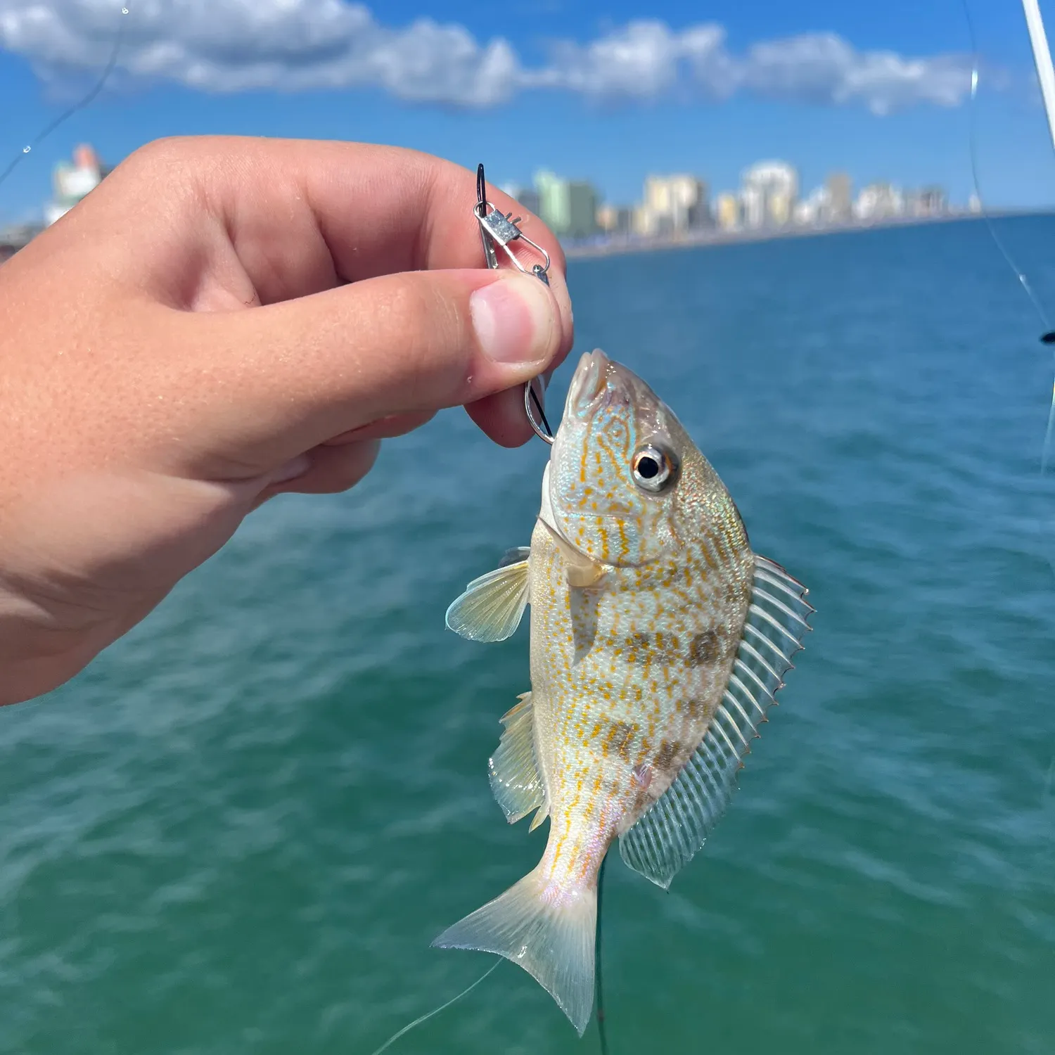 catch