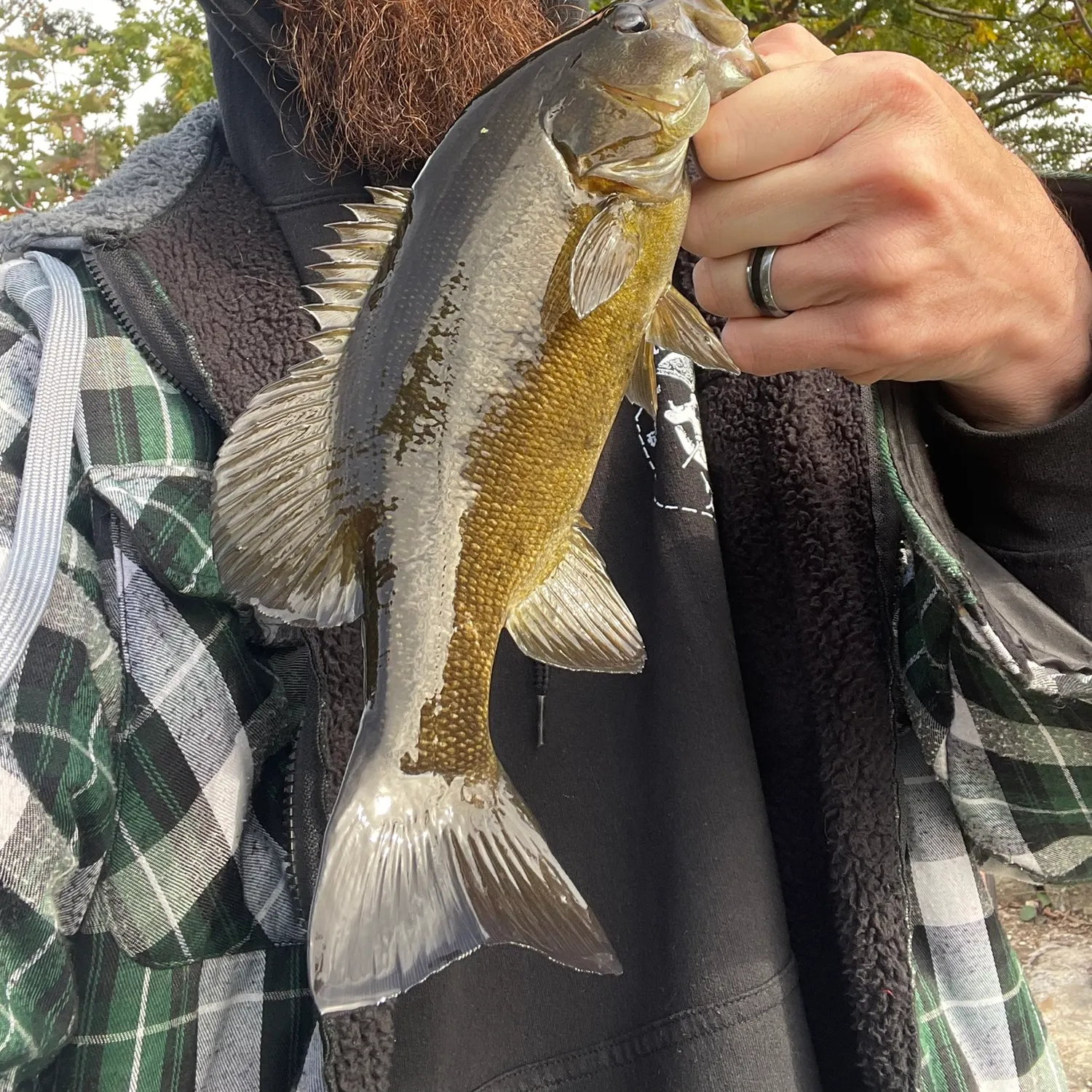 Smallmouth bass caught on Fishbrain