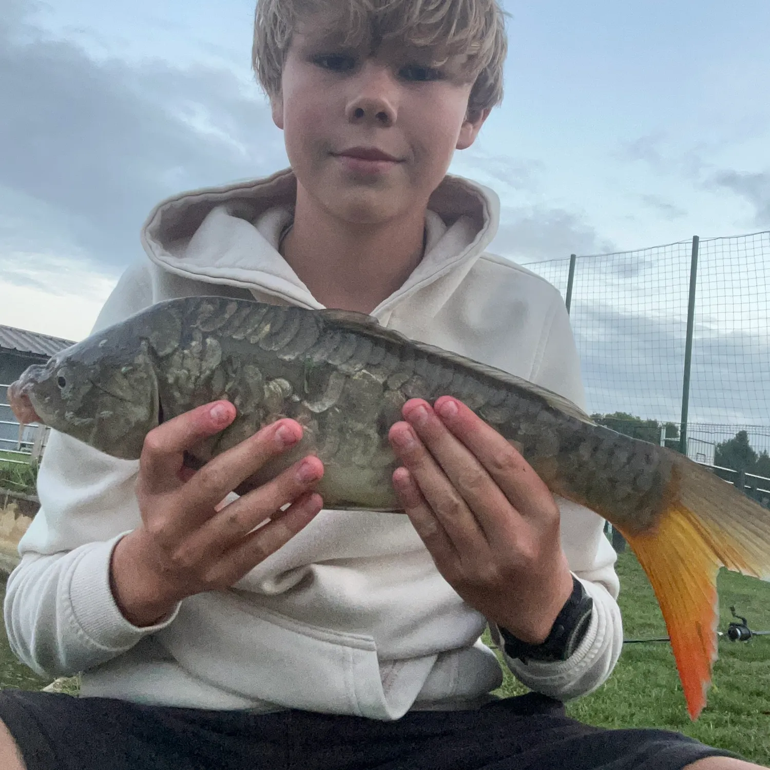 Mirror carp caught on Fishbrain