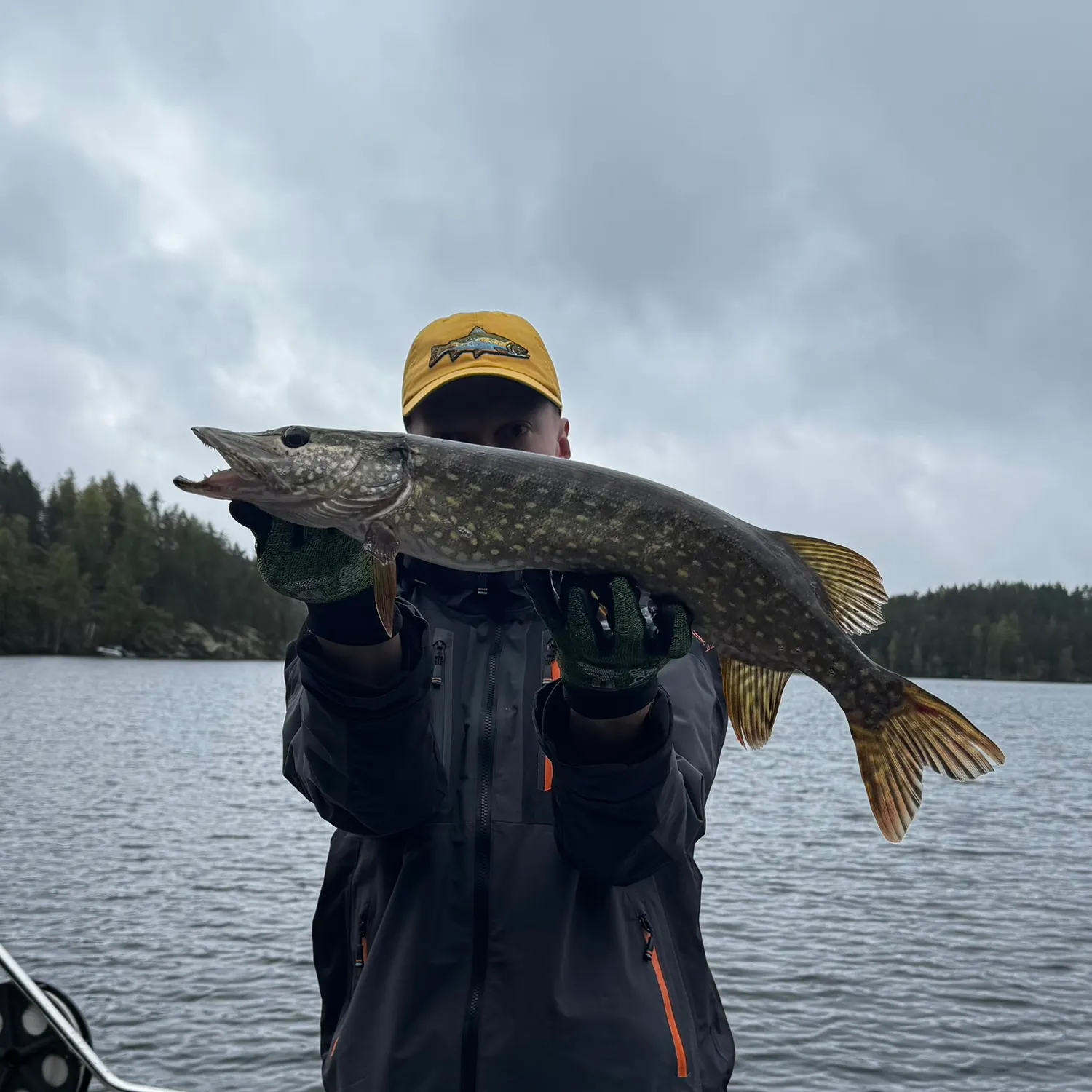 Northern pike caught on Fishbrain