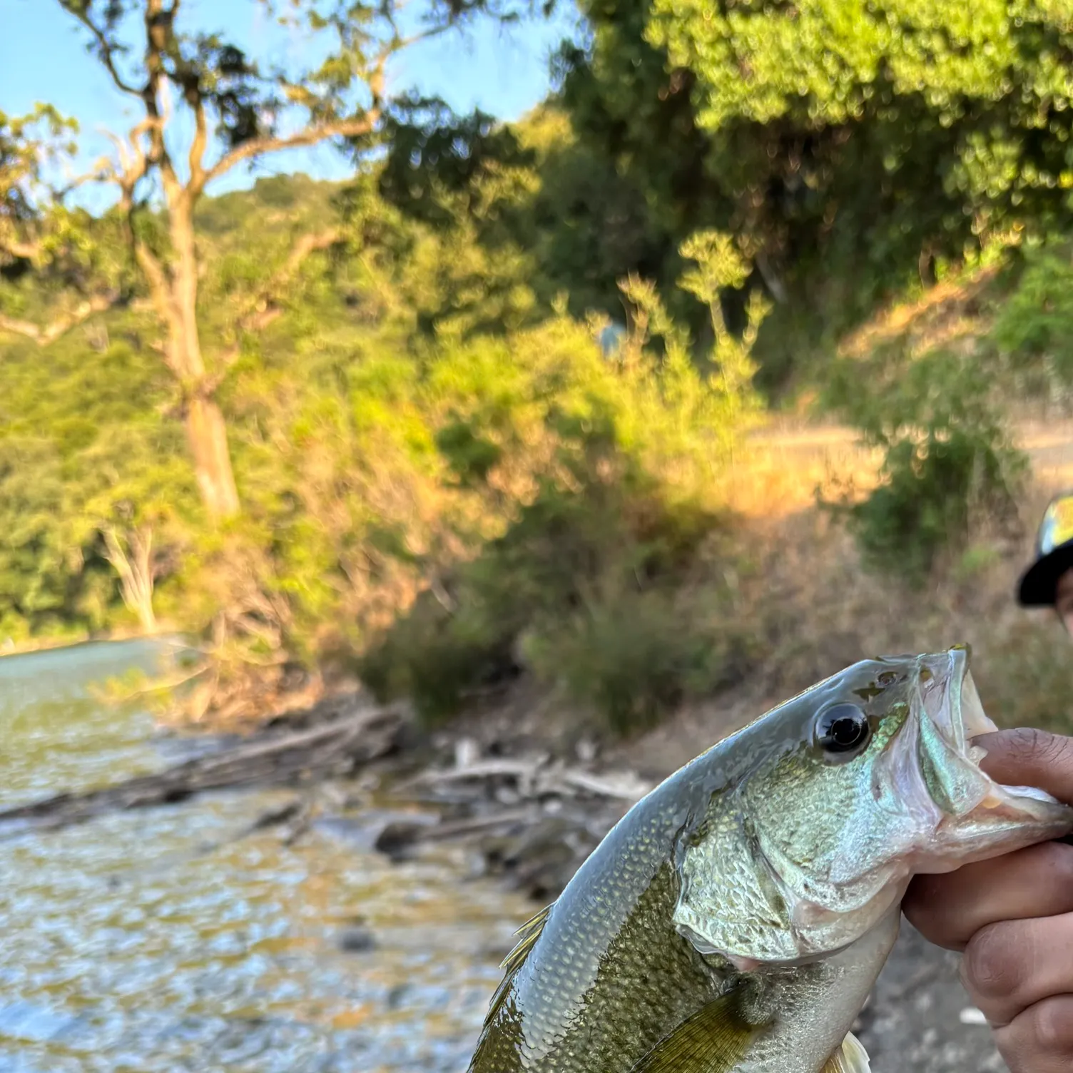 angler catch