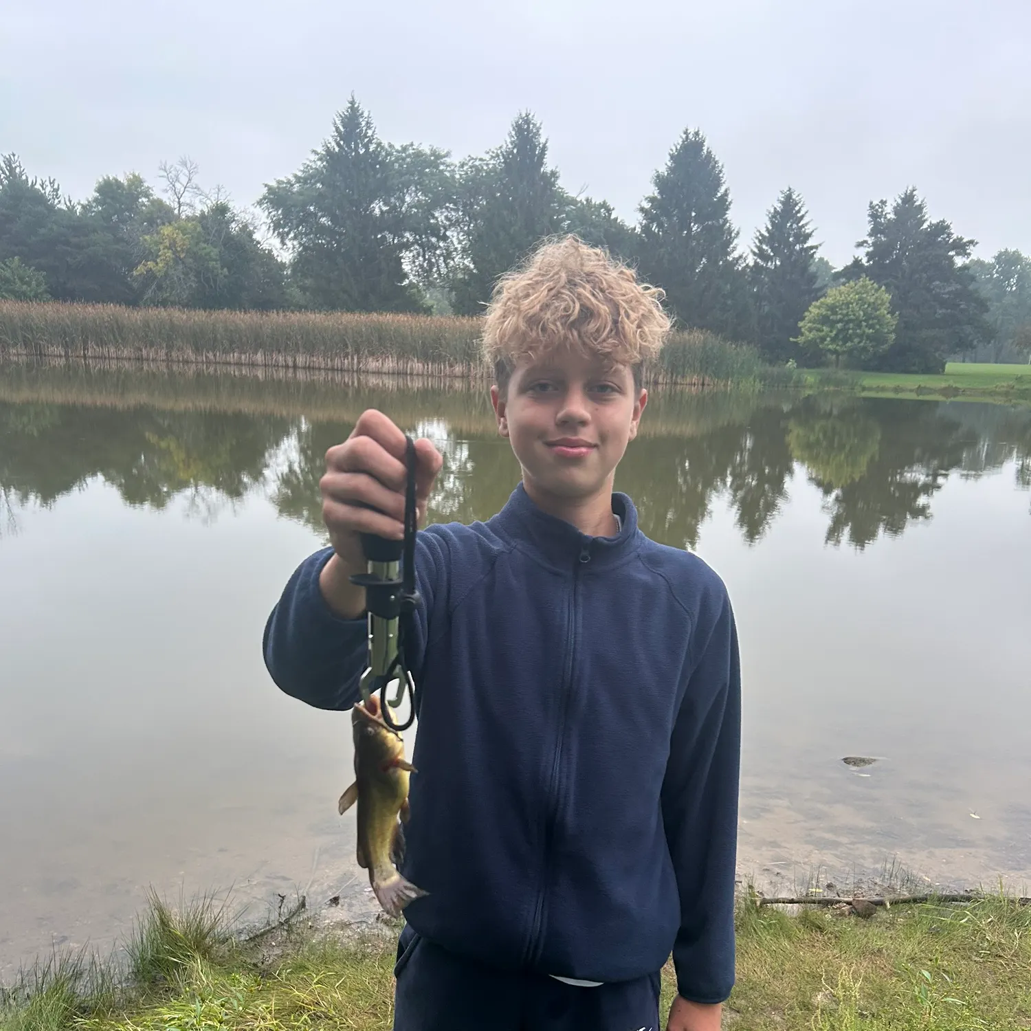 Yellow bullhead caught on Fishbrain
