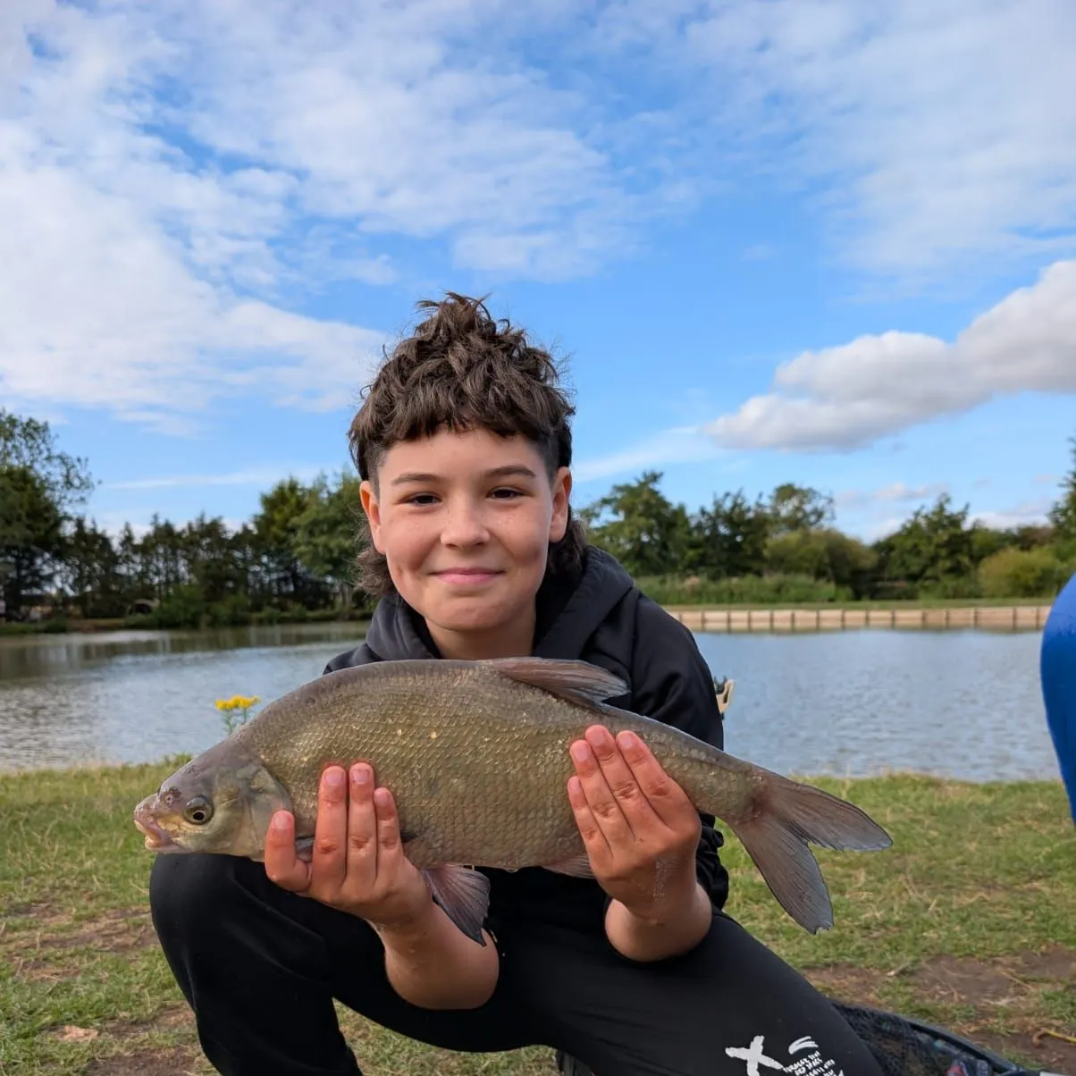 Common bream caught on Fishbrain