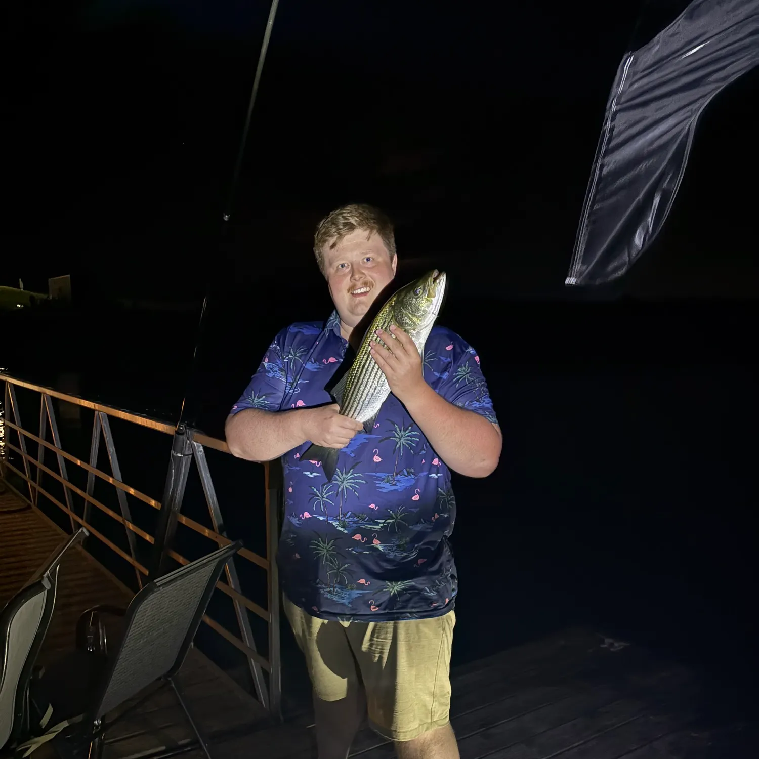 Striped bass caught on Fishbrain