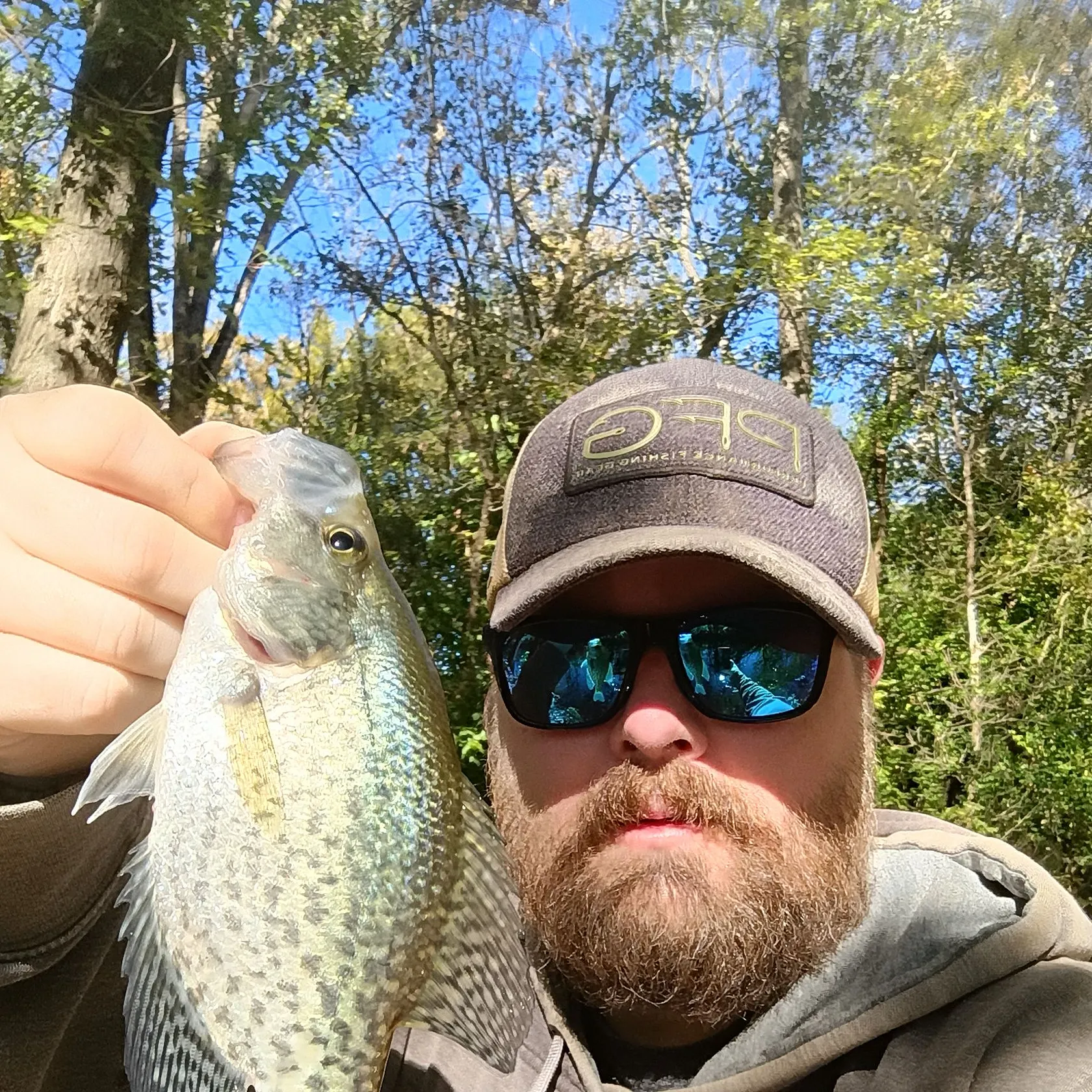 Black crappie caught on Fishbrain