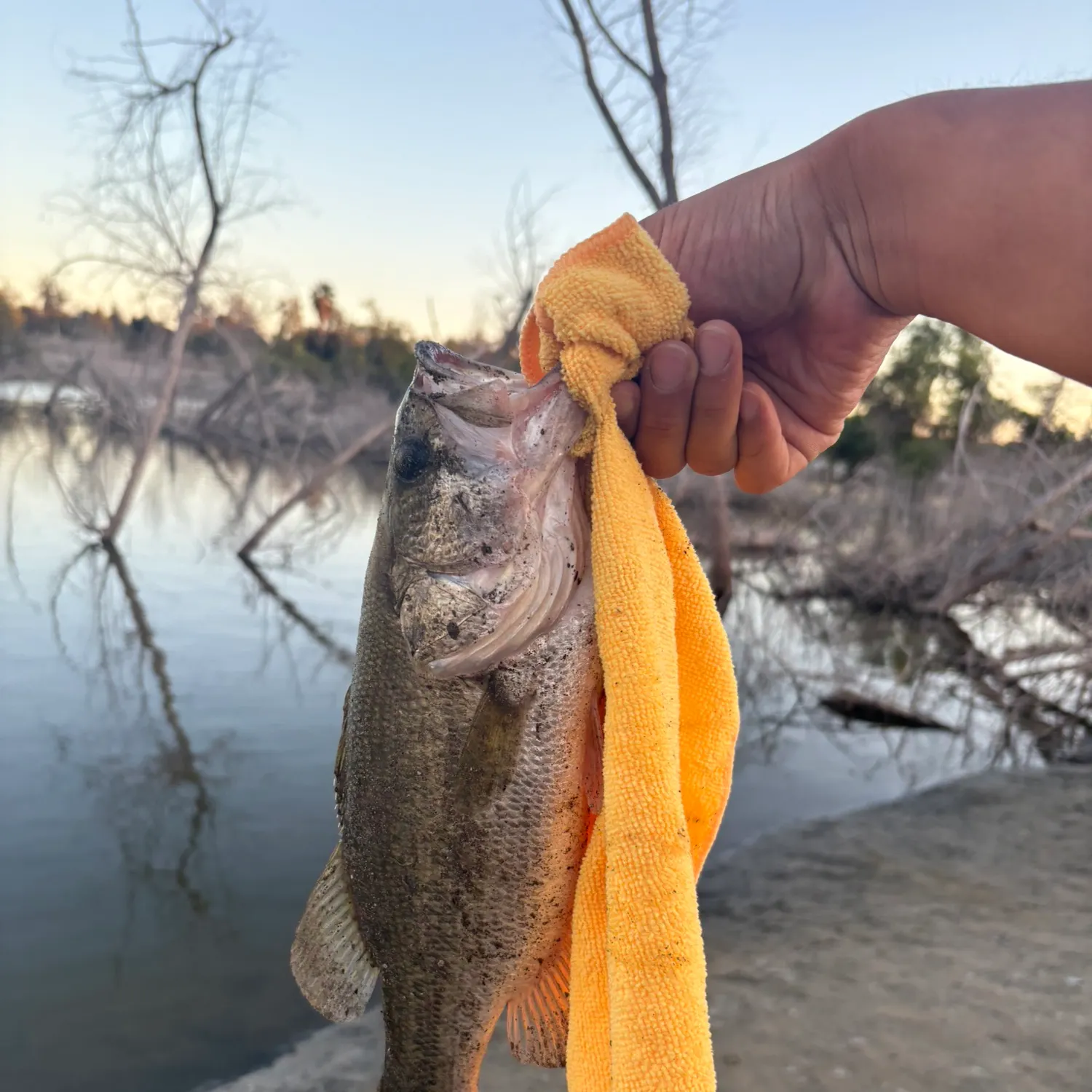 catch