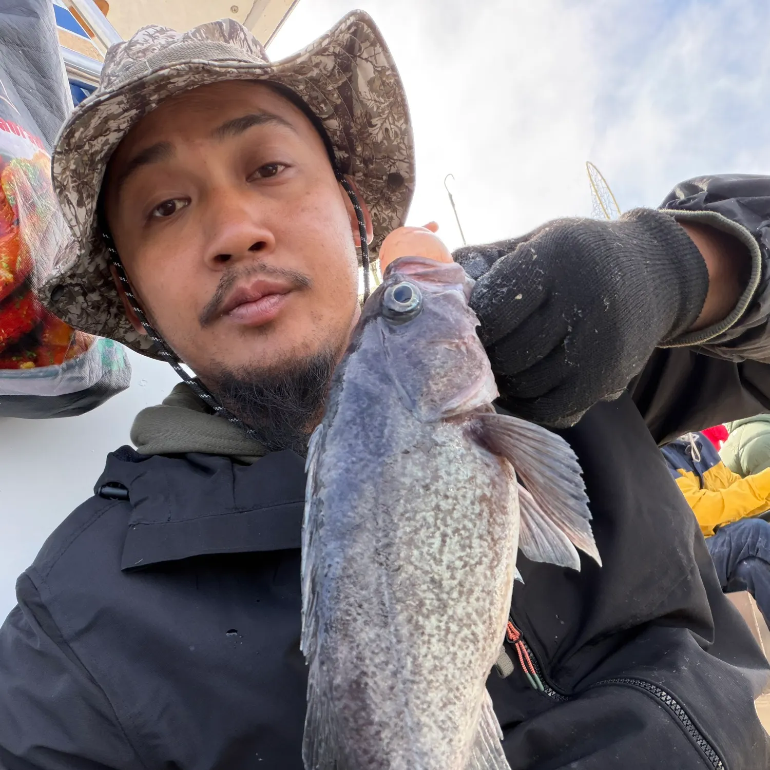 Black rockfish caught on Fishbrain
