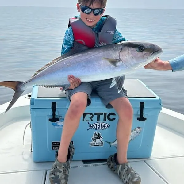 The most recent Greater amberjack catches on Fishbrain