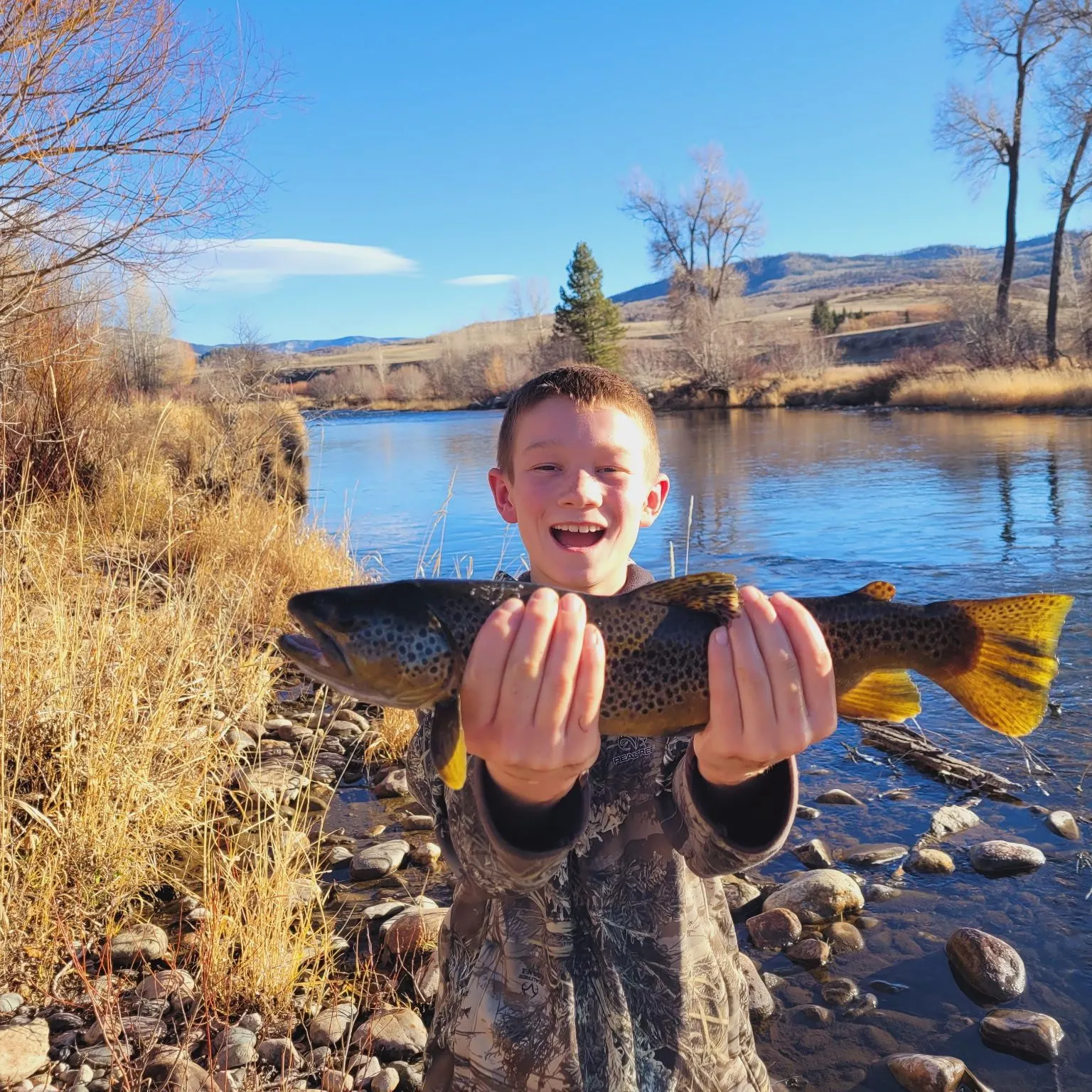 Brown trout caught on Fishbrain