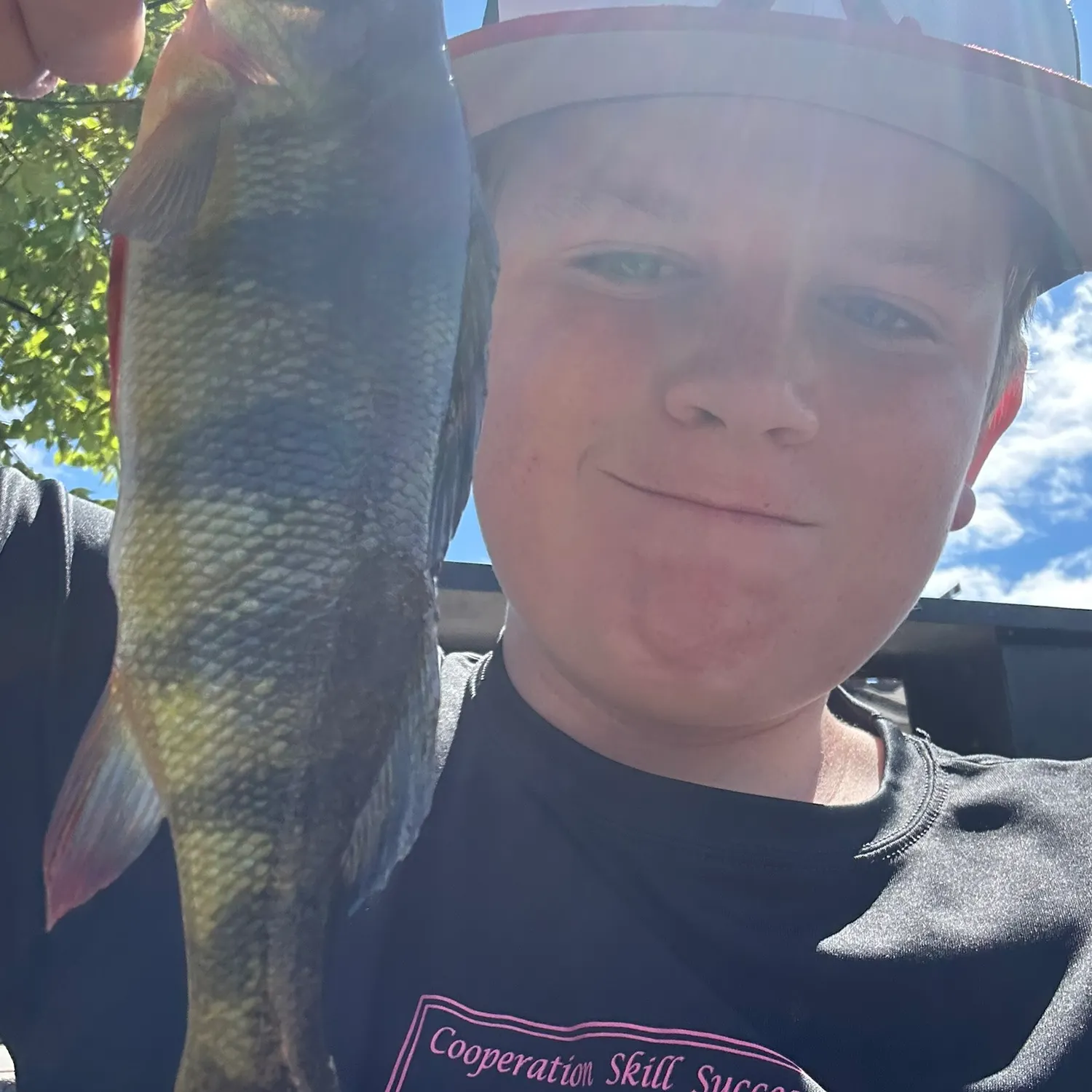 Yellow perch caught on Fishbrain