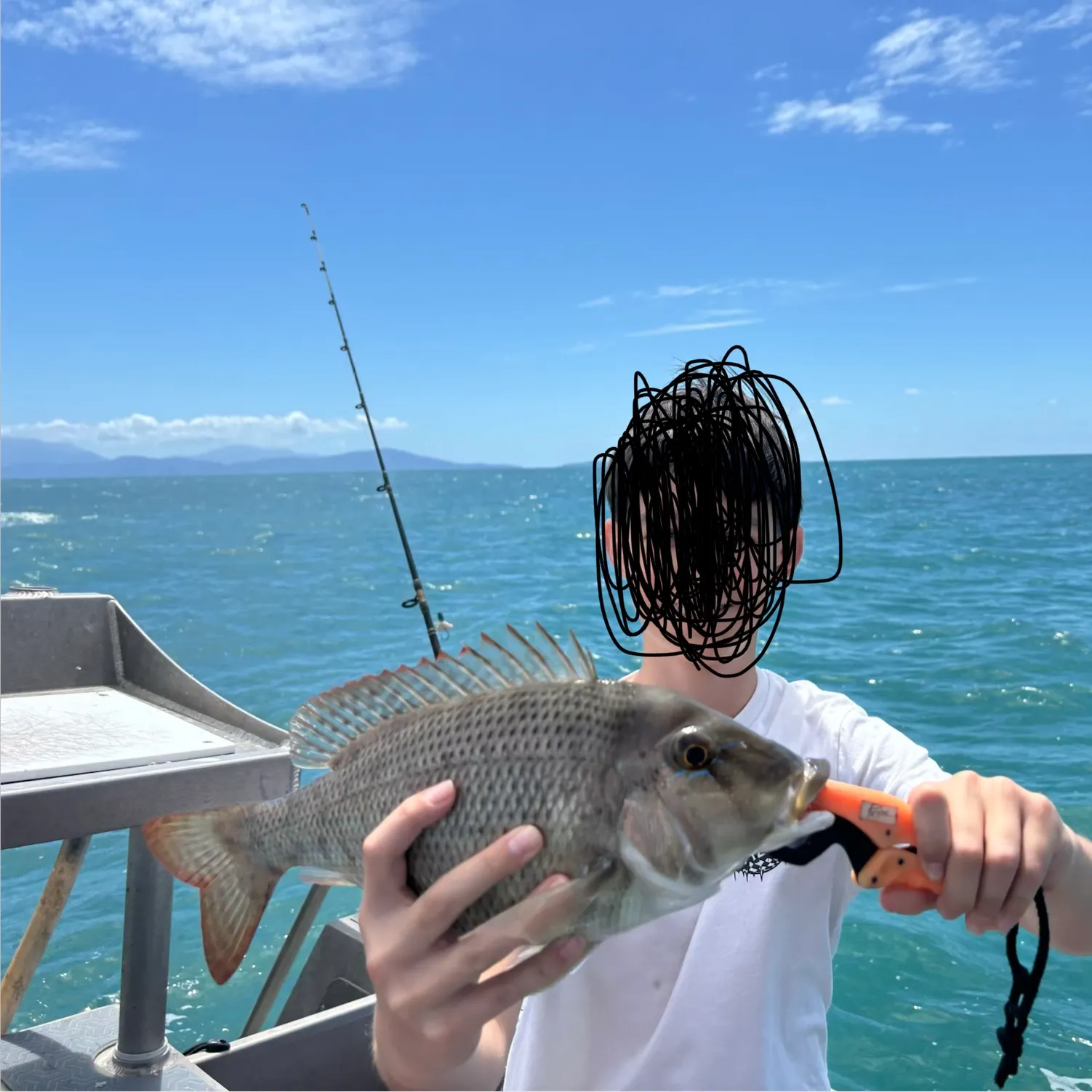 The most recent Painted sweetlips catches on Fishbrain